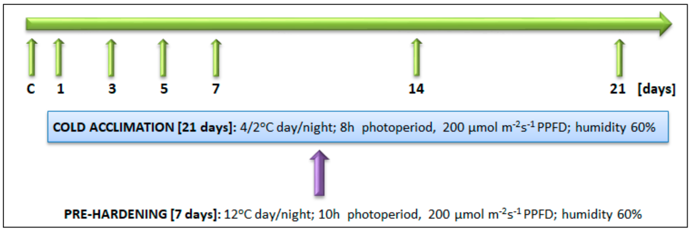Ijms 21 05899 g009 Ijms 21 05899 g009