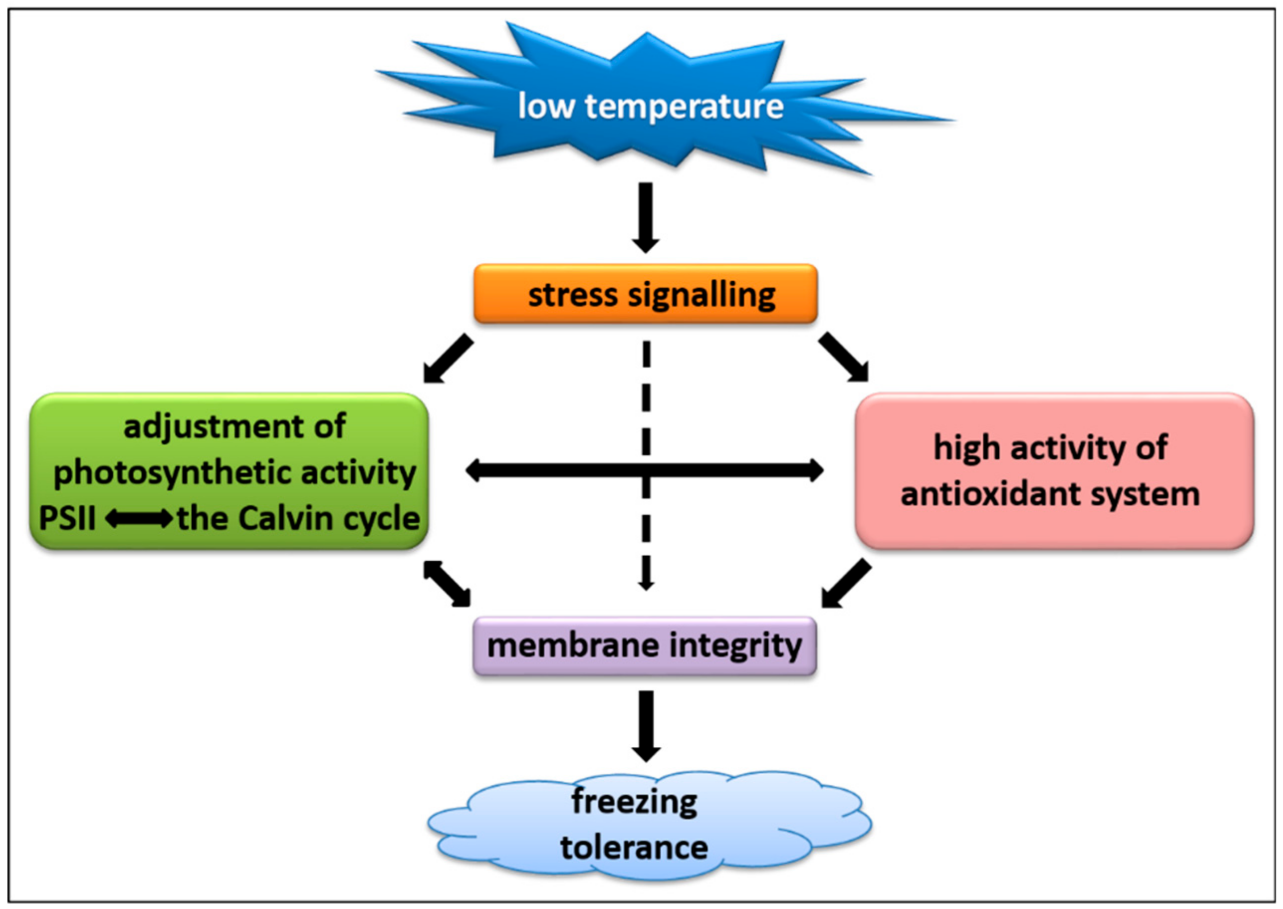 Ijms 21 05899 g010 Ijms 21 05899 g010