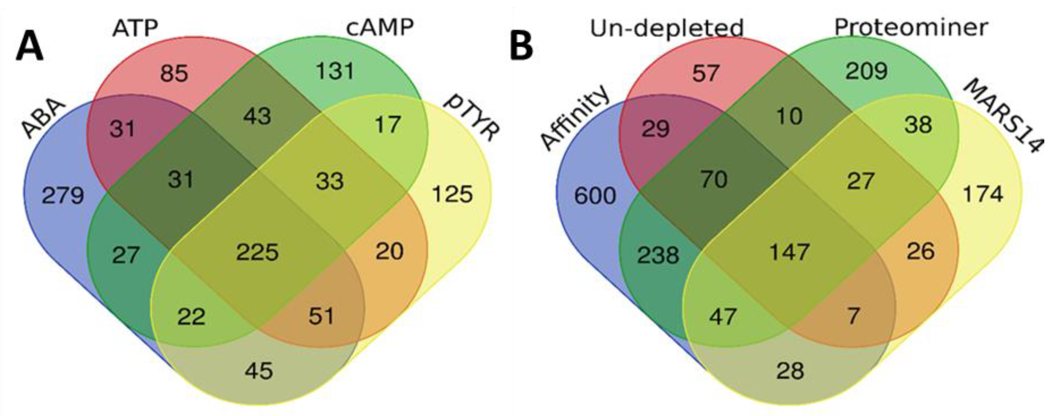 Ijms 21 05903 g003 Ijms 21 05903 g003