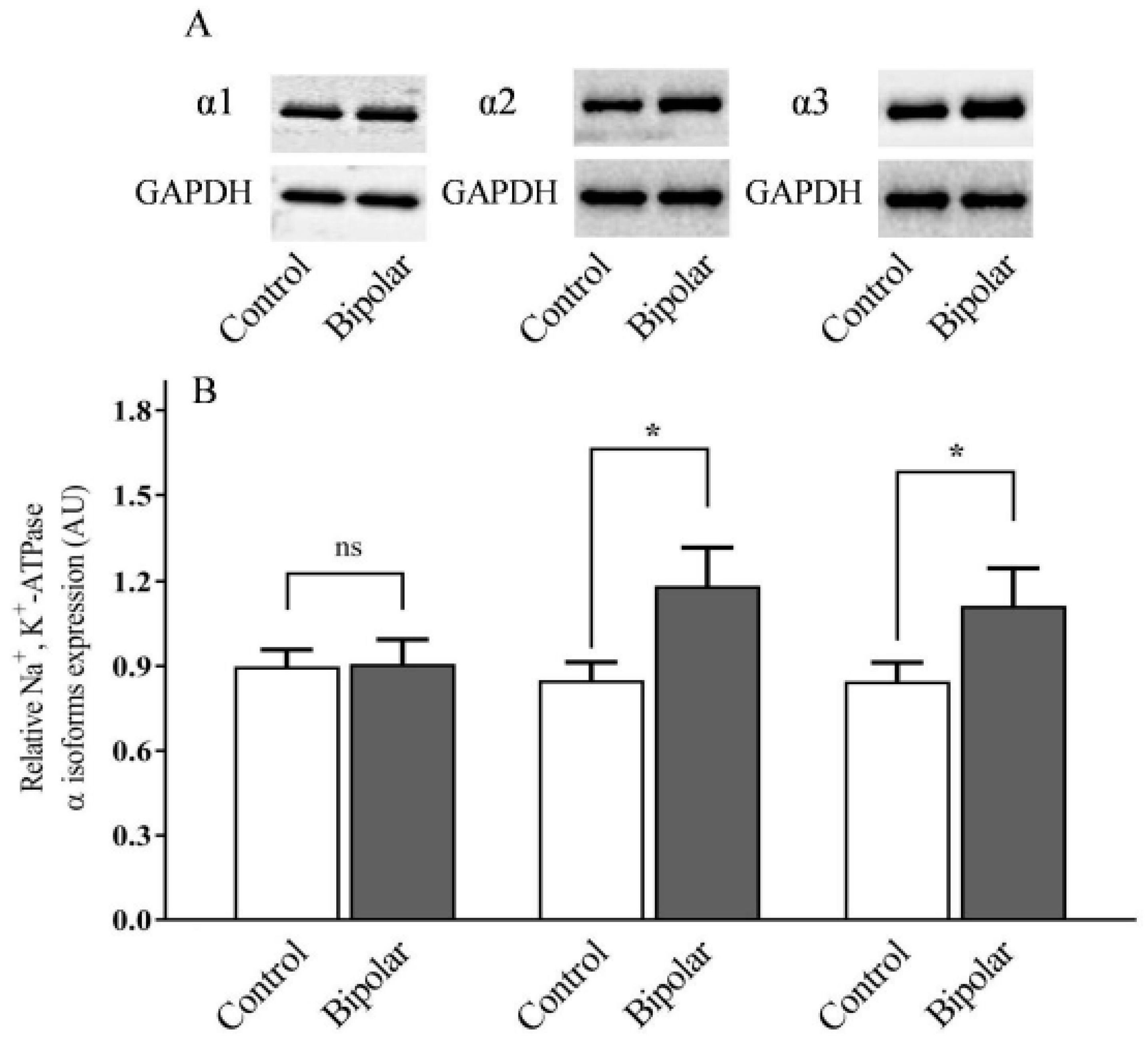 Ijms 21 05912 g001 Ijms 21 05912 g001
