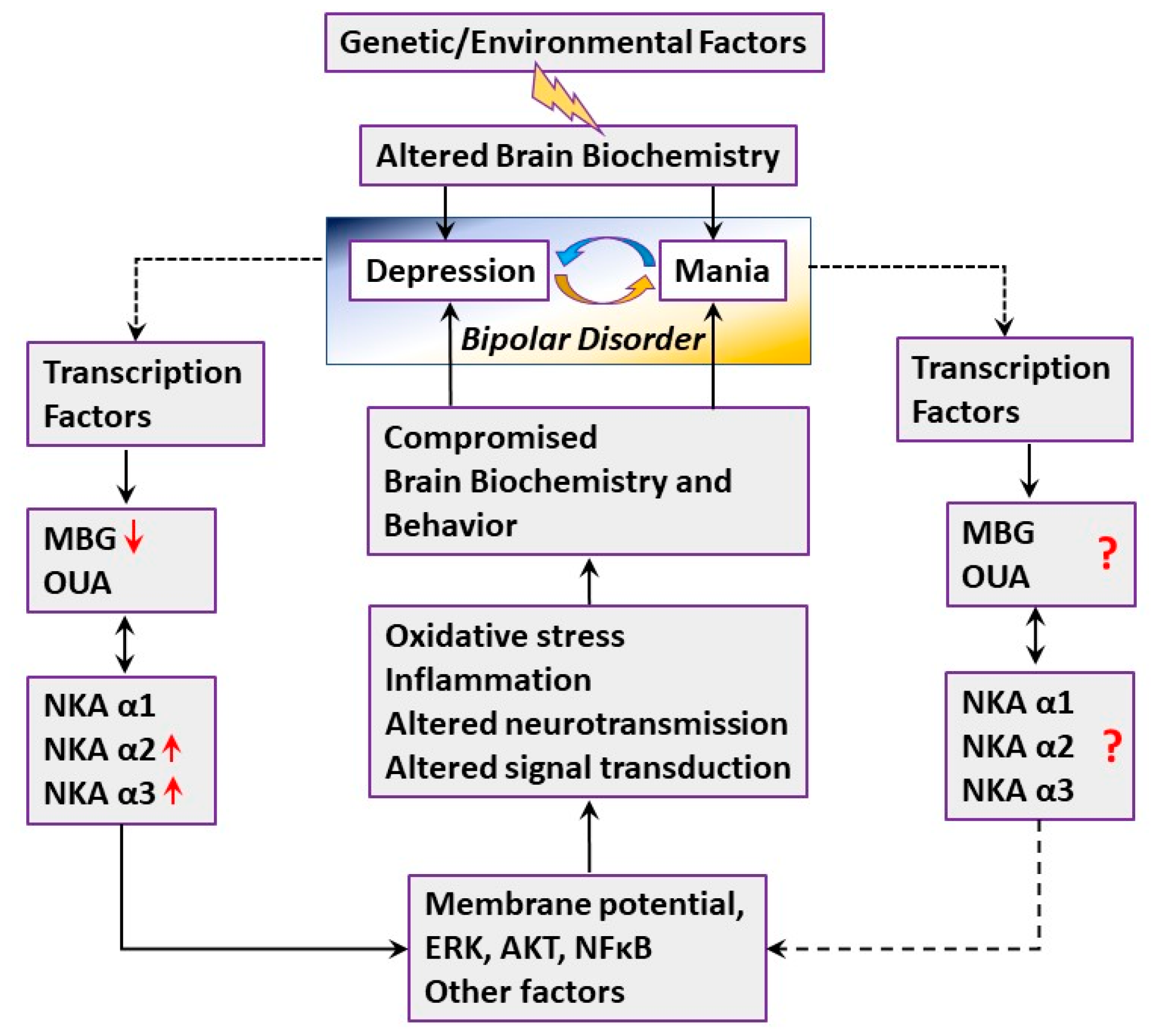 Ijms 21 05912 g009 Ijms 21 05912 g009