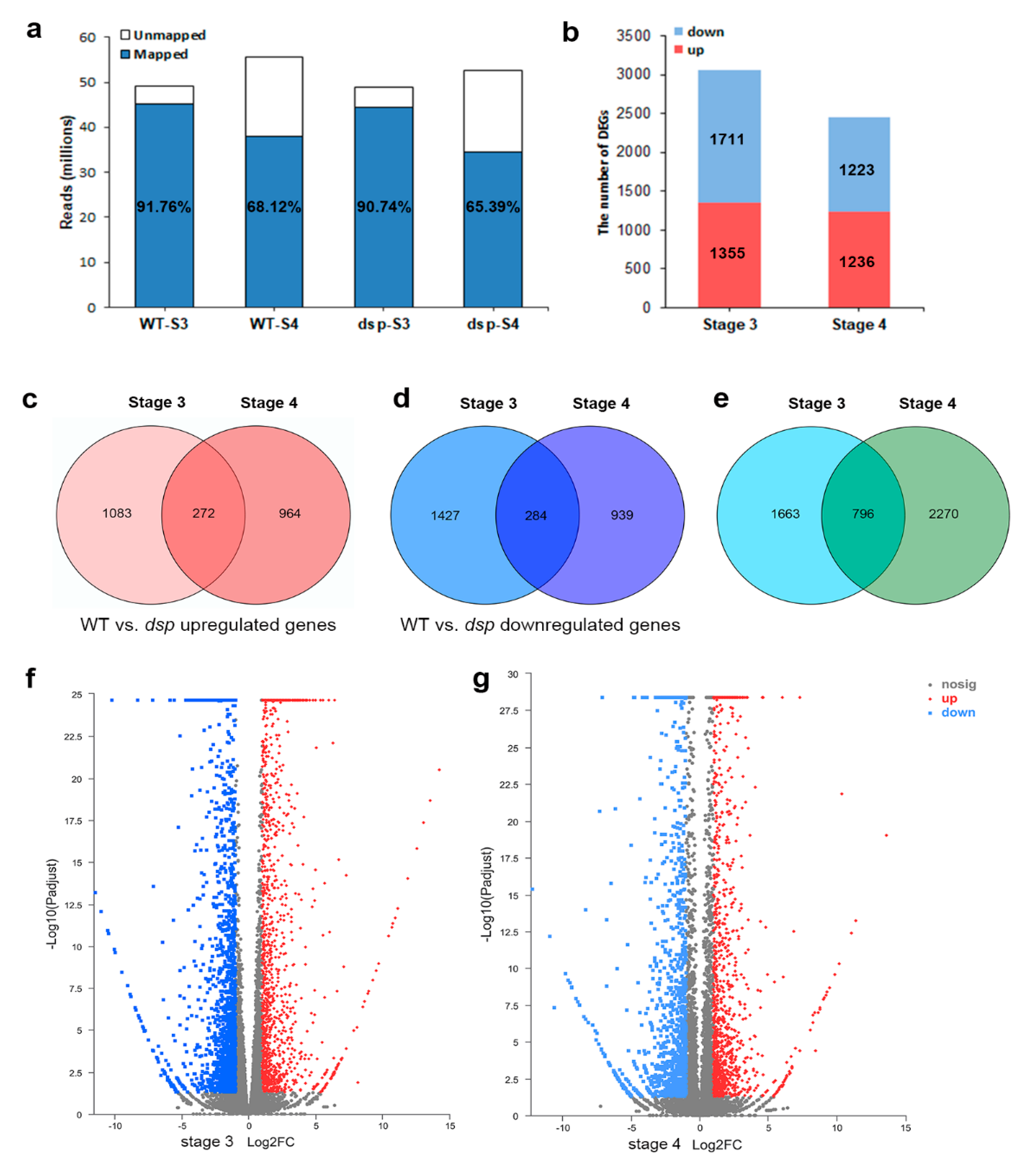 Ijms 21 05914 g002 Ijms 21 05914 g002