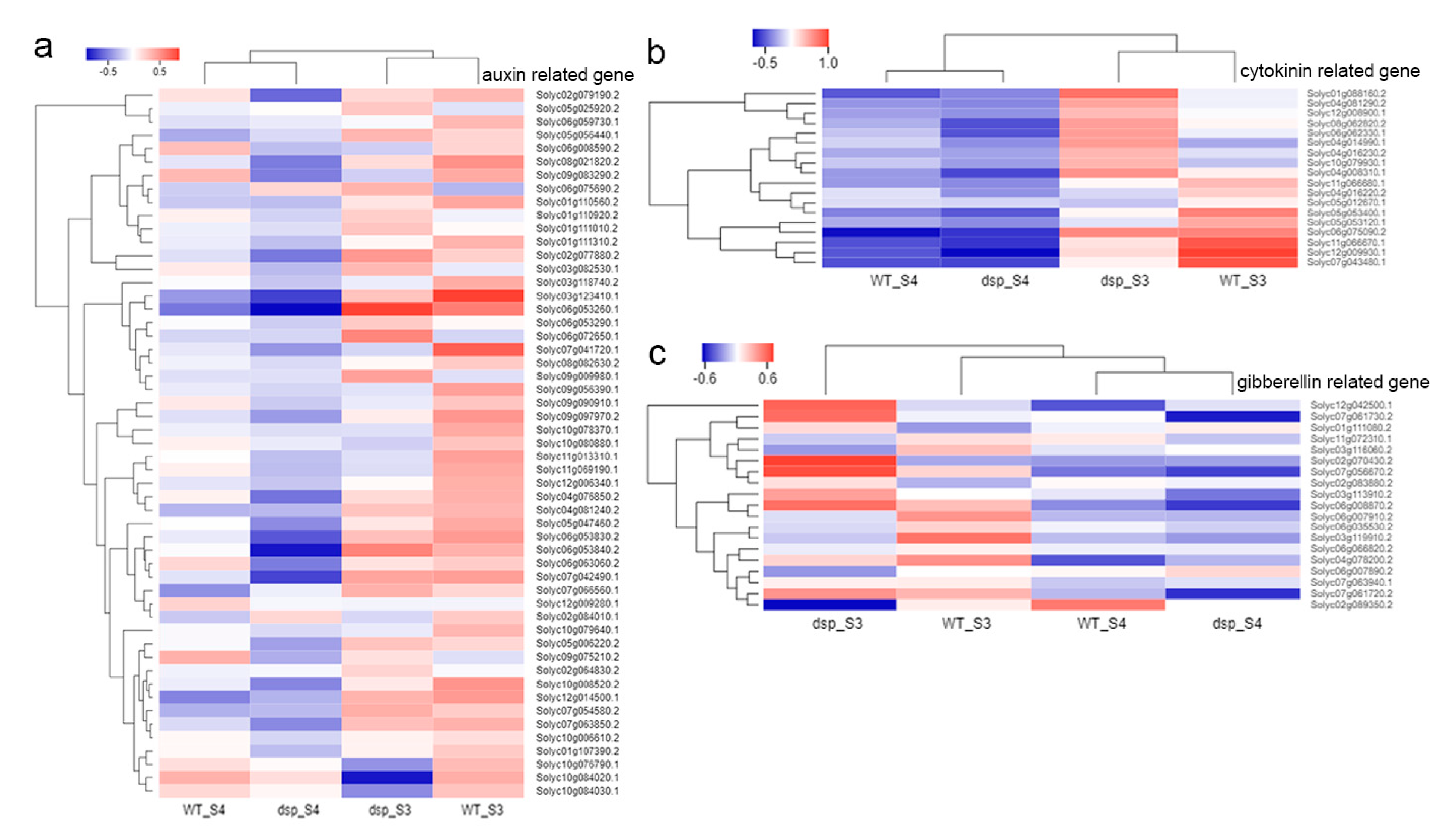 Ijms 21 05914 g006 Ijms 21 05914 g006