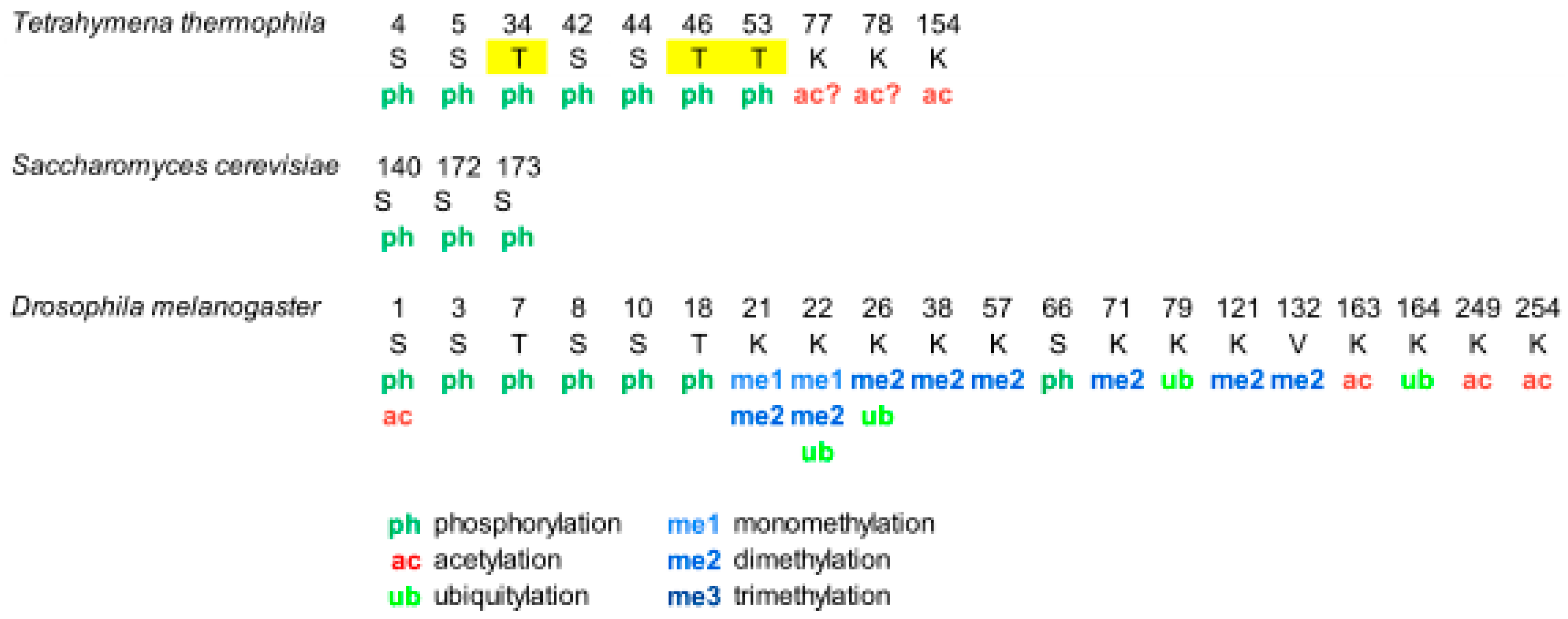 Ijms 21 05941 g001 Ijms 21 05941 g001