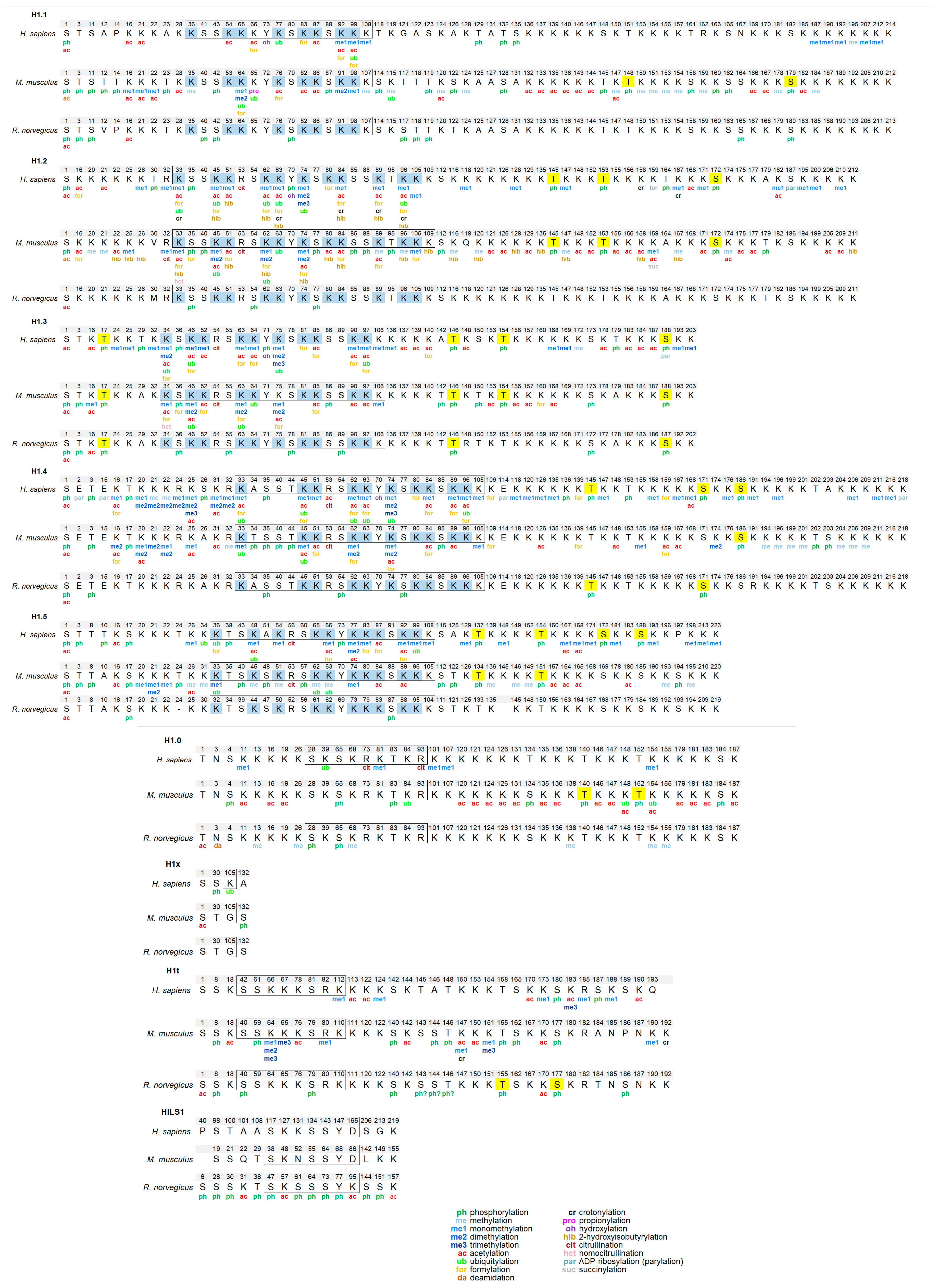 Ijms 21 05941 g003 Ijms 21 05941 g003