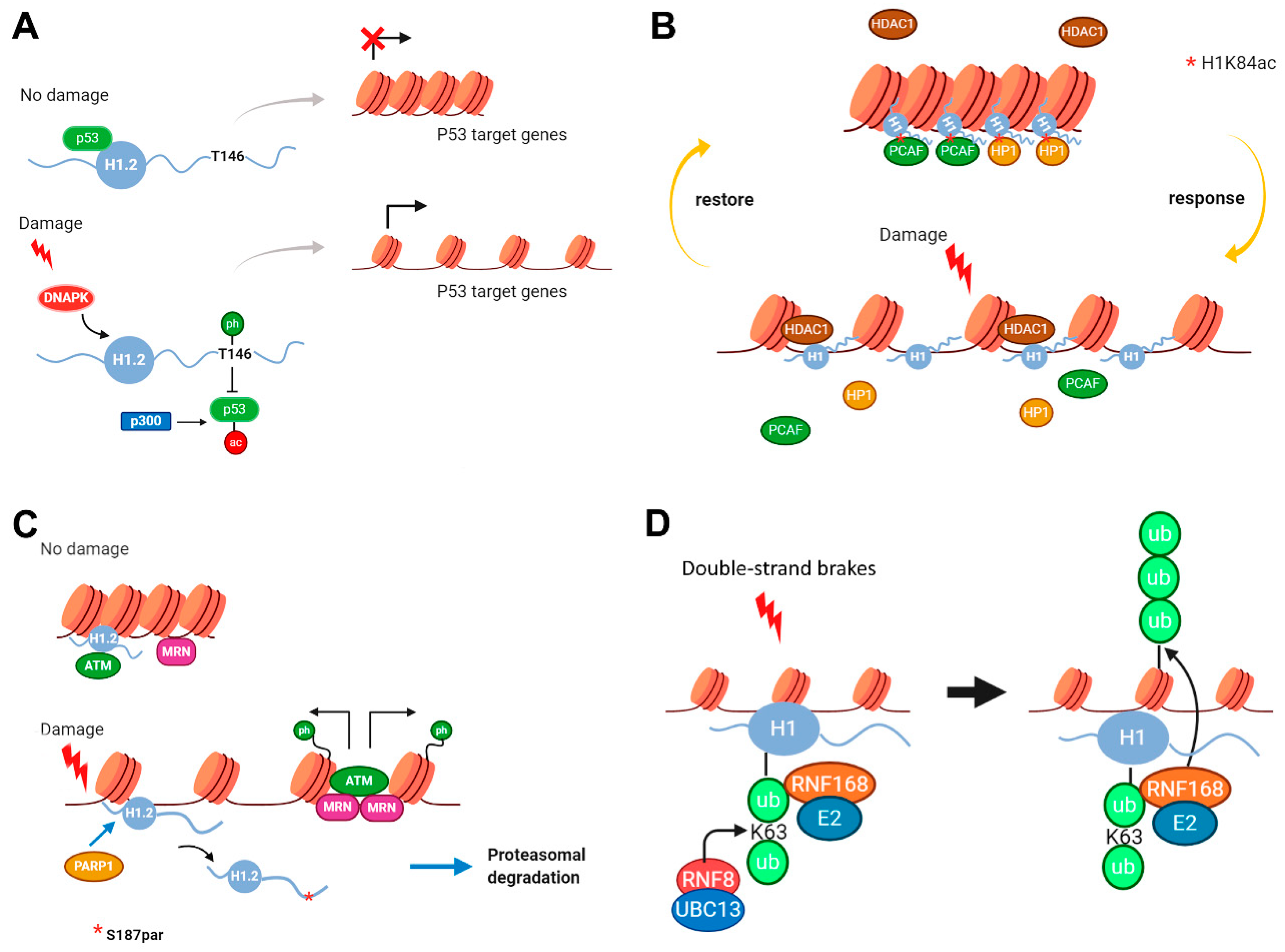 Ijms 21 05941 g005 Ijms 21 05941 g005