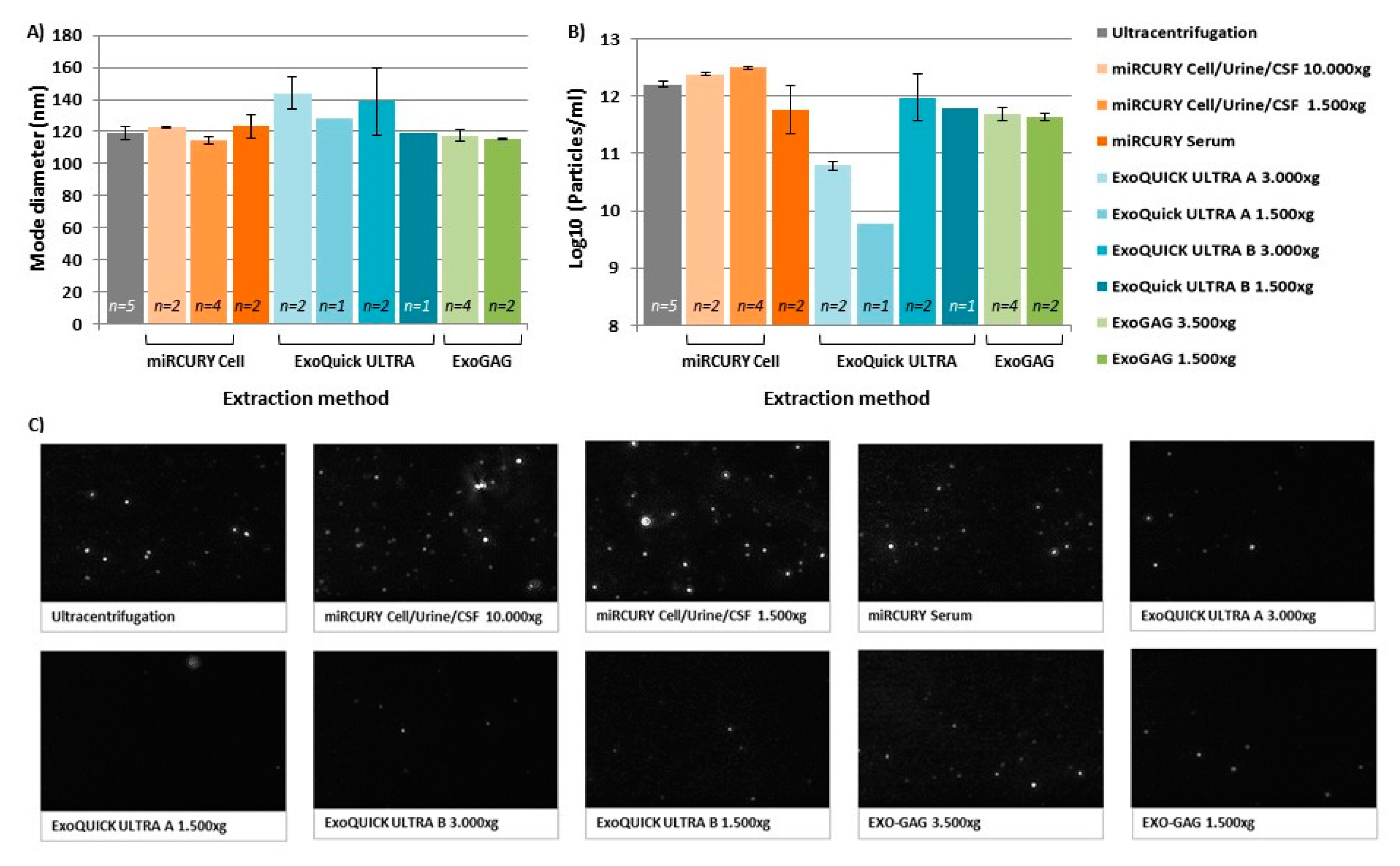 Ijms 21 05949 g002 Ijms 21 05949 g002