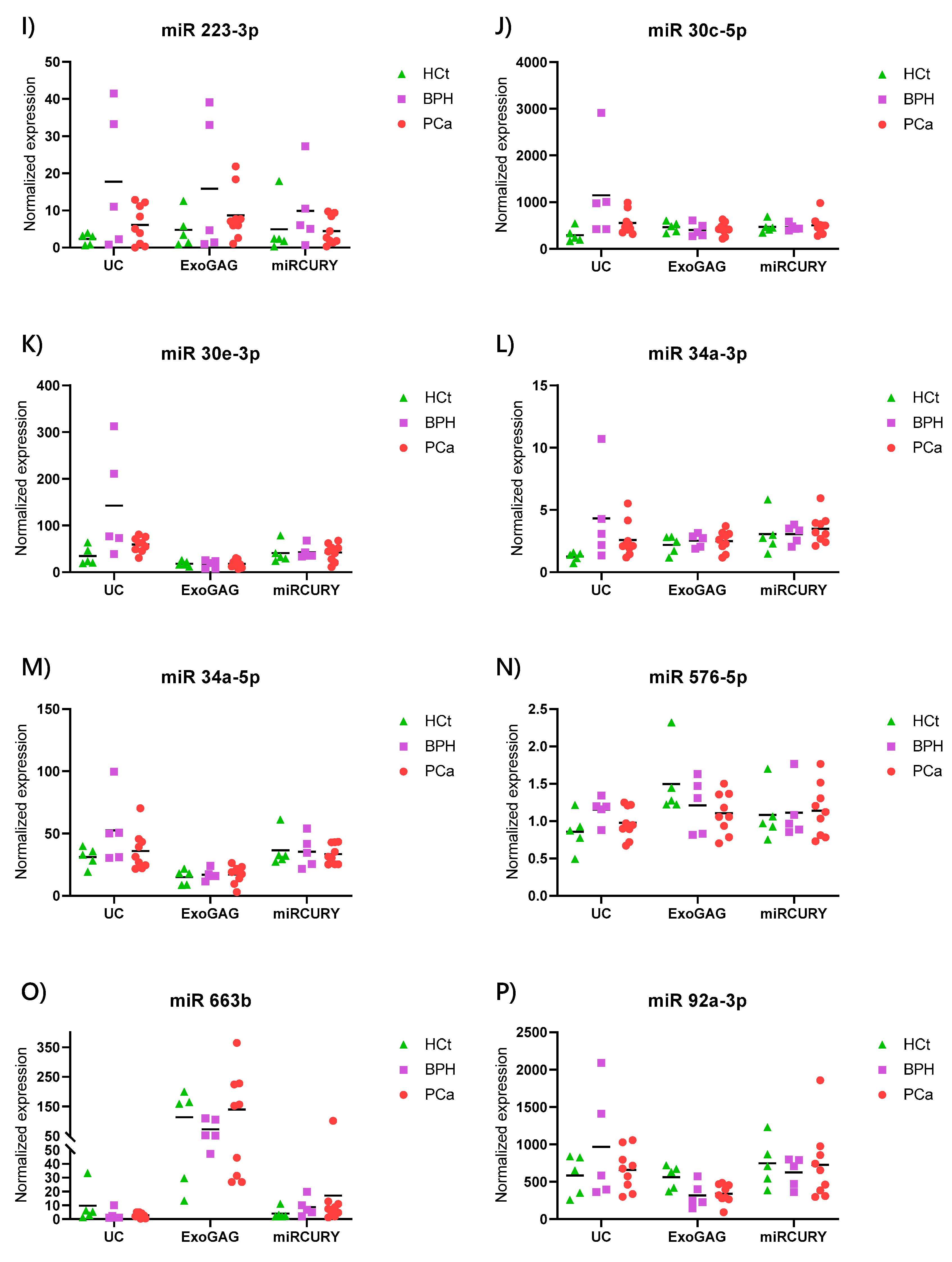 Ijms 21 05949 g005b Ijms 21 05949 g005b