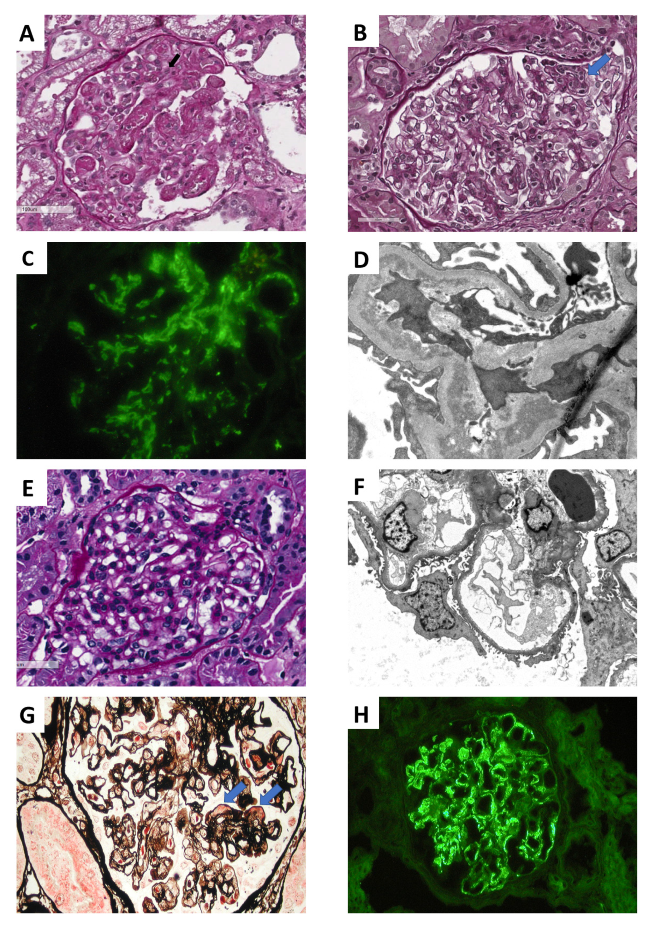 Ijms 21 05954 g001 Ijms 21 05954 g001