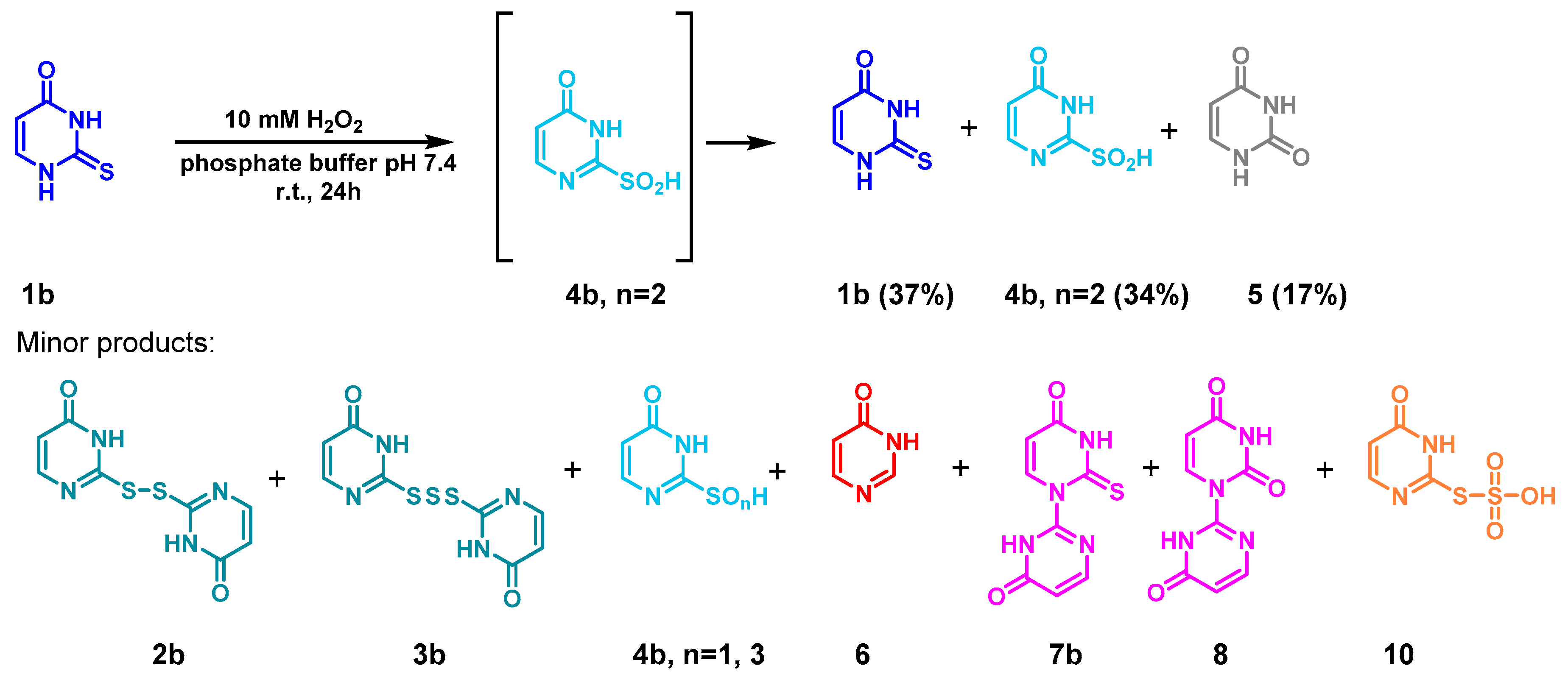 Ijms 21 05956 sch004