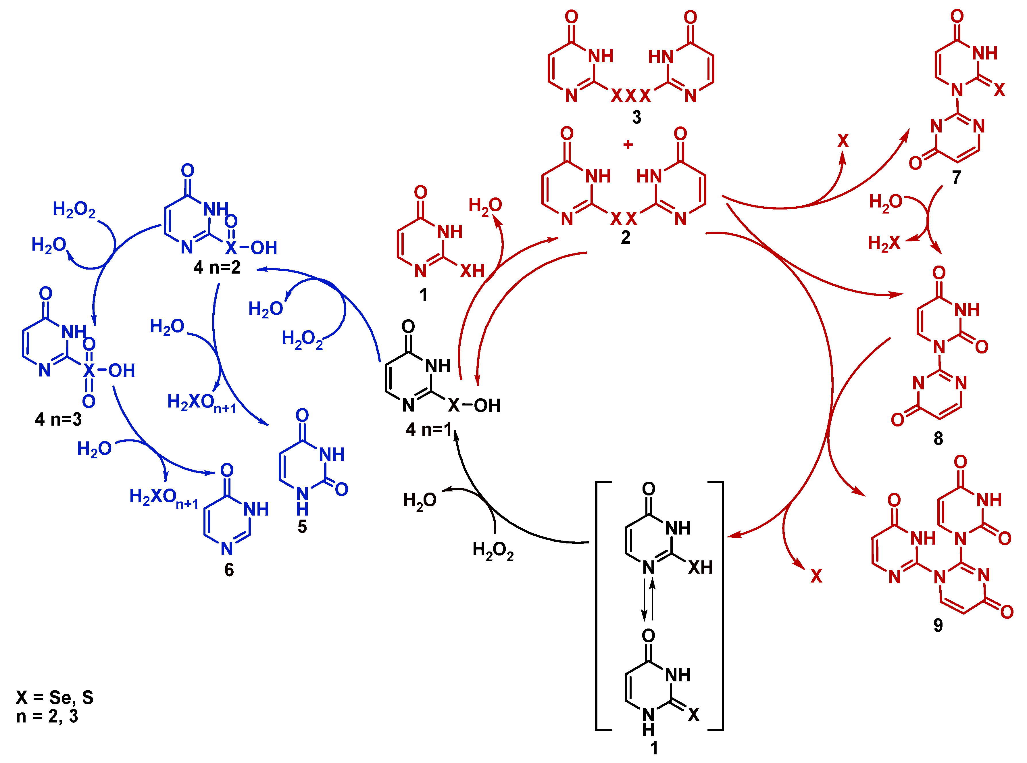 Ijms 21 05956 sch006