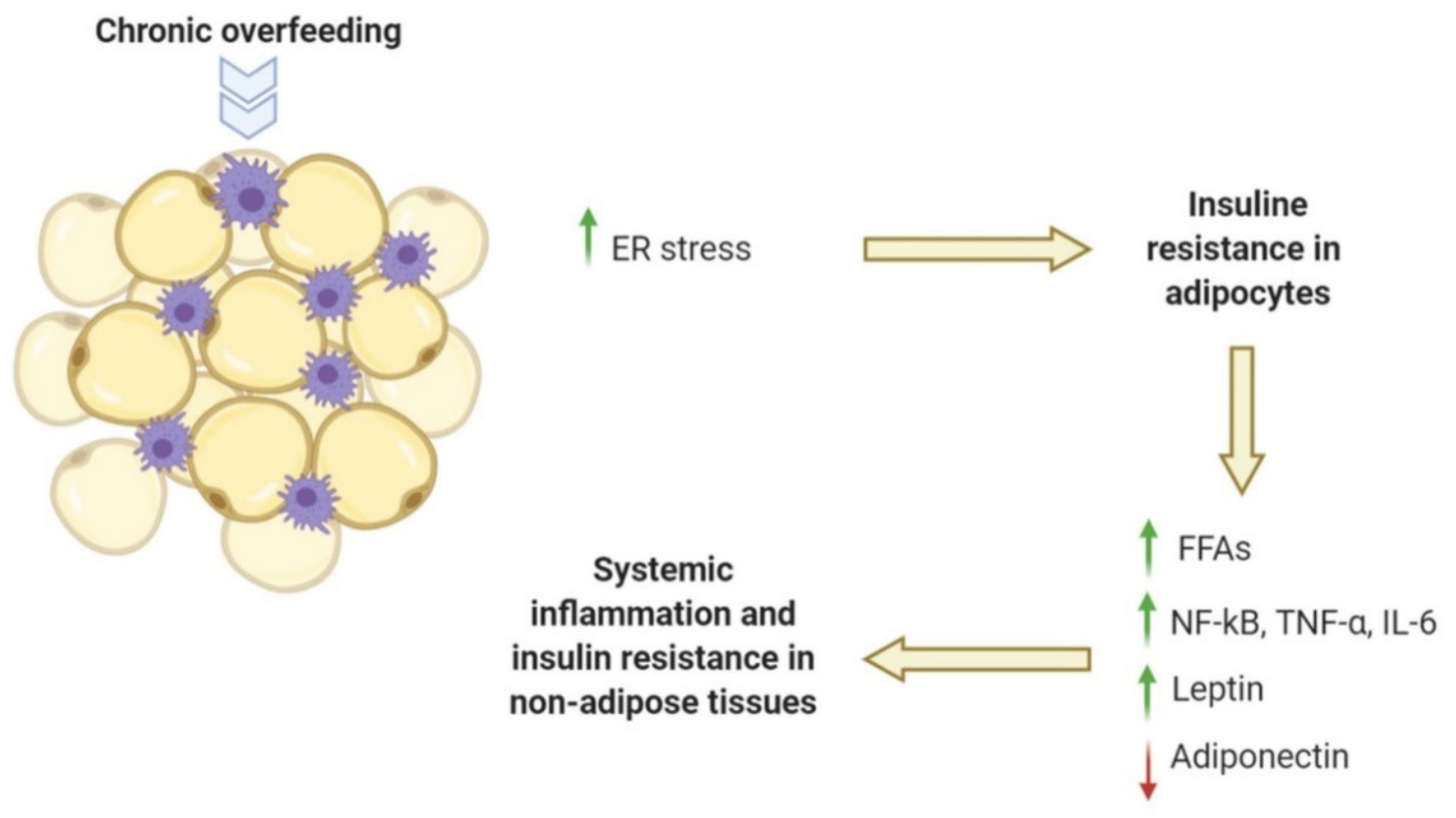 Ijms 21 05964 g001 Ijms 21 05964 g001