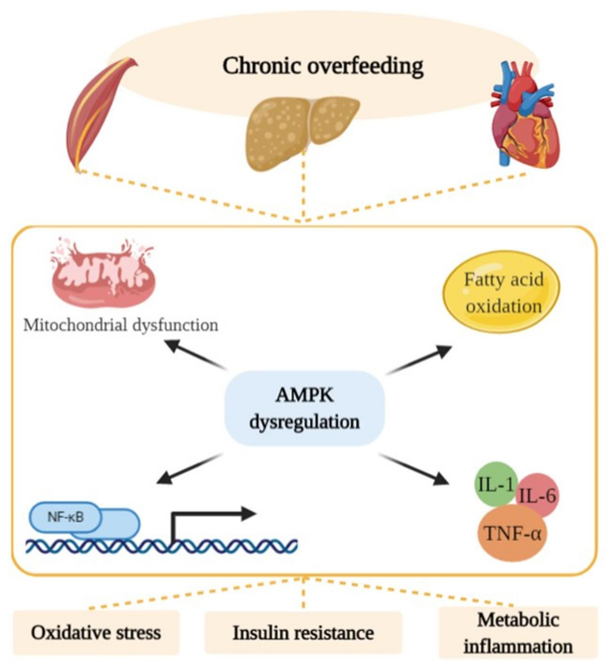 Ijms 21 05964 g002 Ijms 21 05964 g002