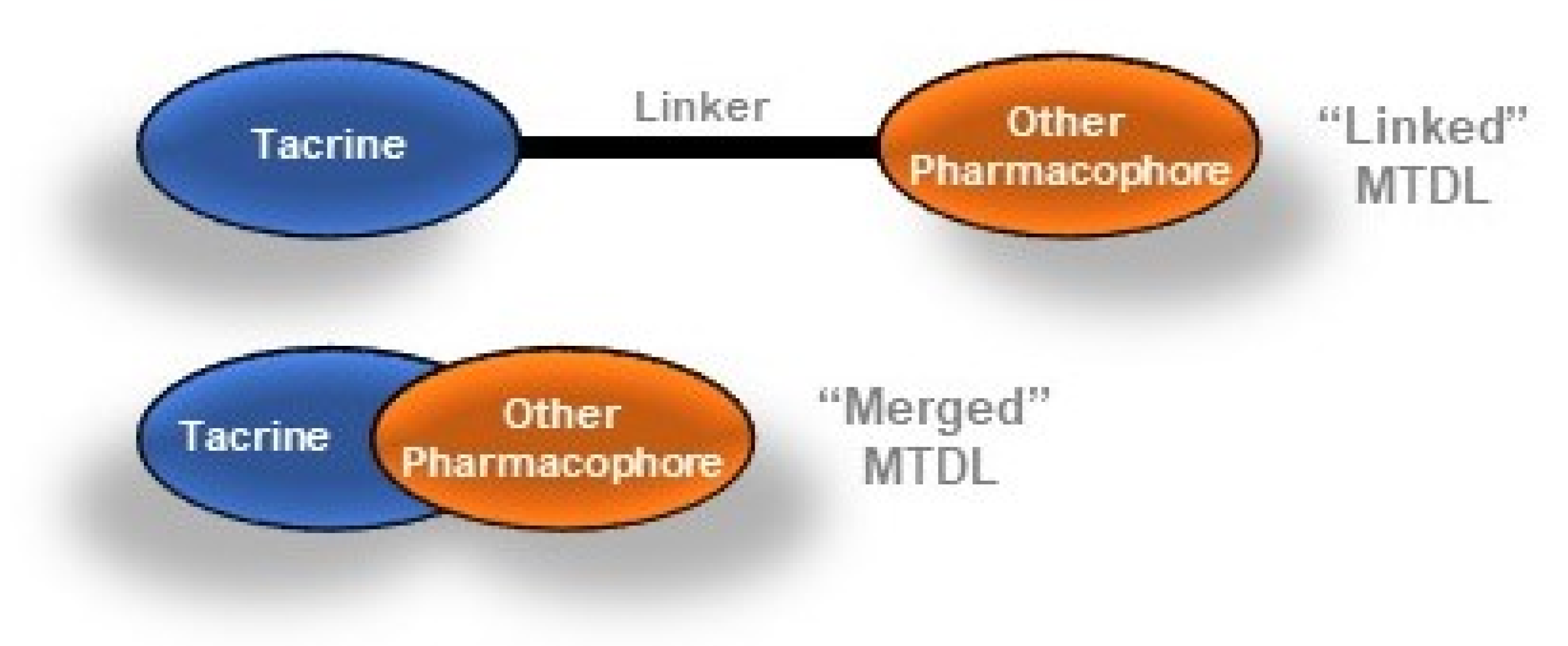 Ijms 21 05965 g003 Ijms 21 05965 g003