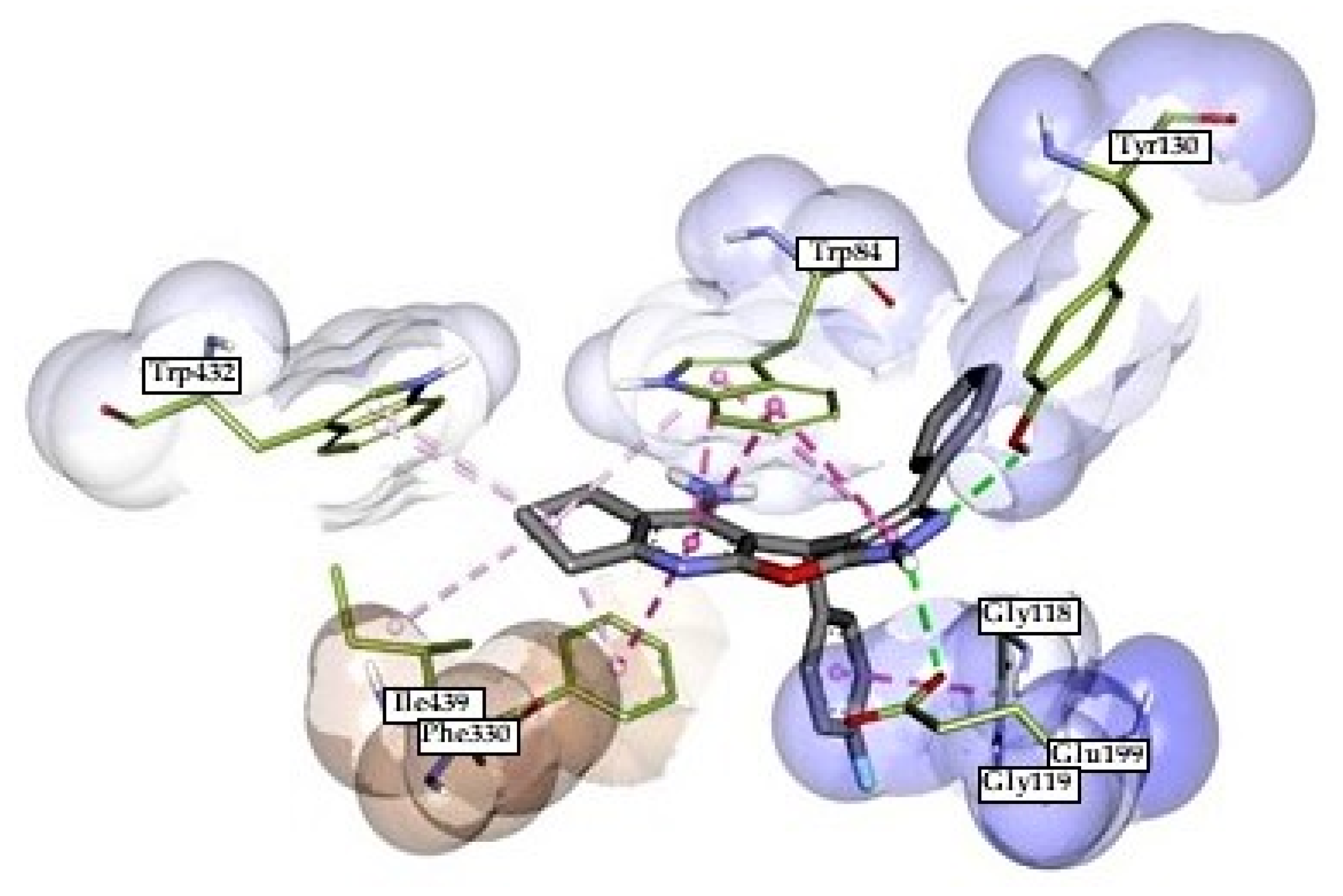 Ijms 21 05965 g004 Ijms 21 05965 g004