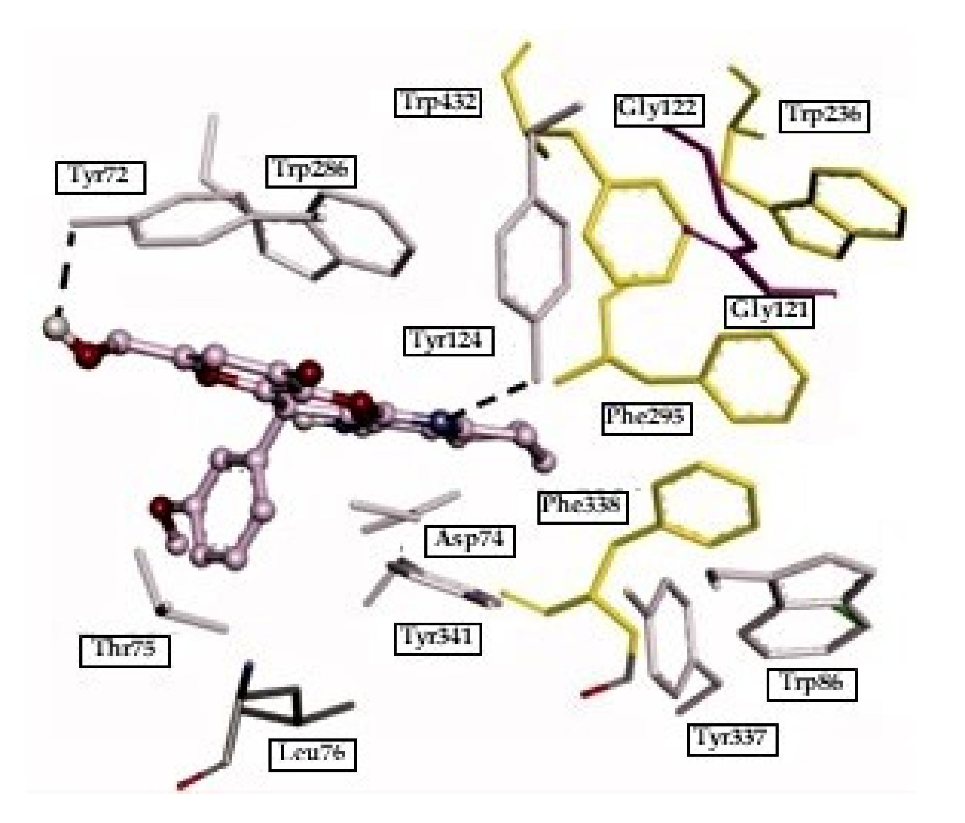 Ijms 21 05965 g005 Ijms 21 05965 g005