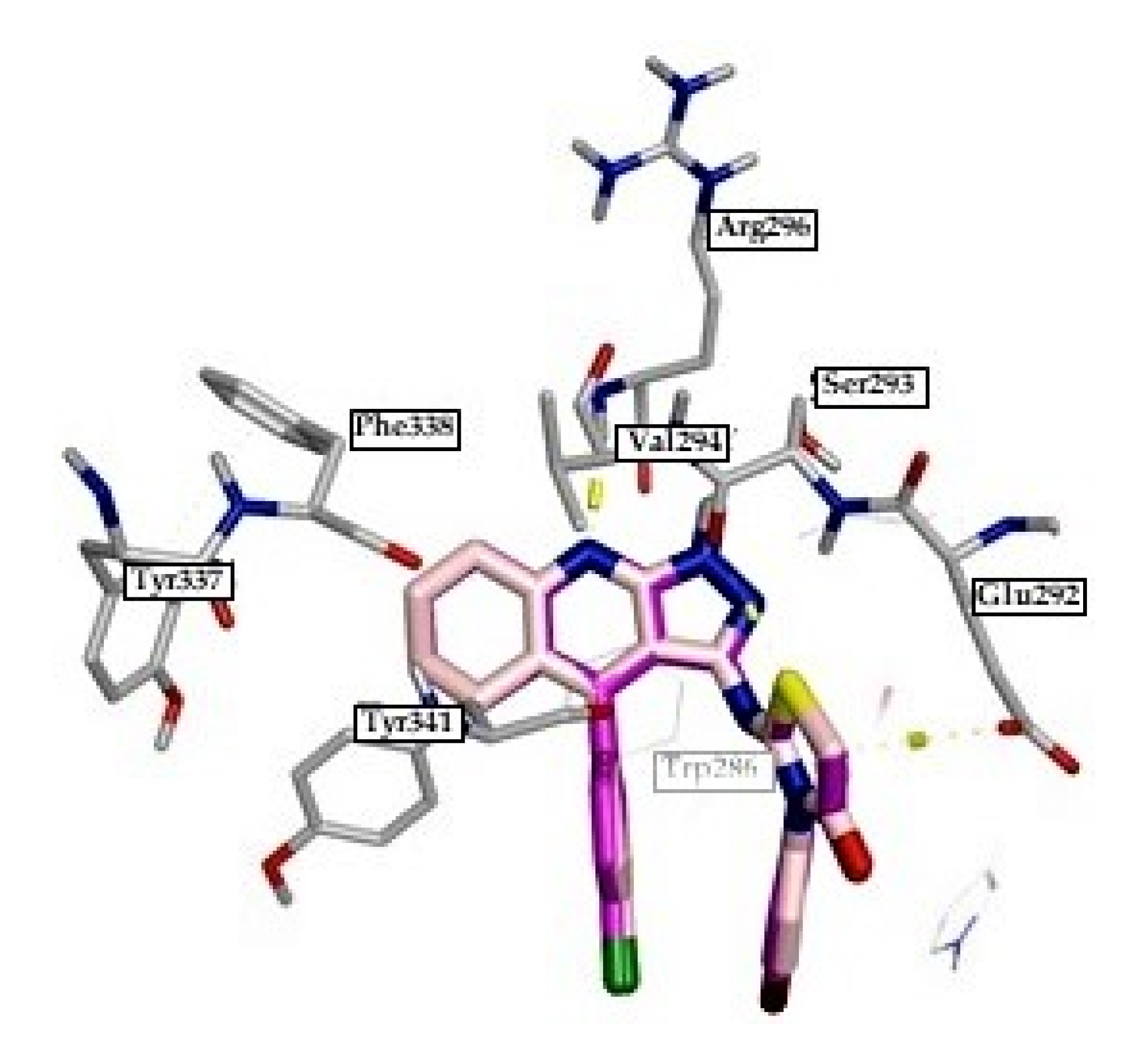 Ijms 21 05965 g006 Ijms 21 05965 g006