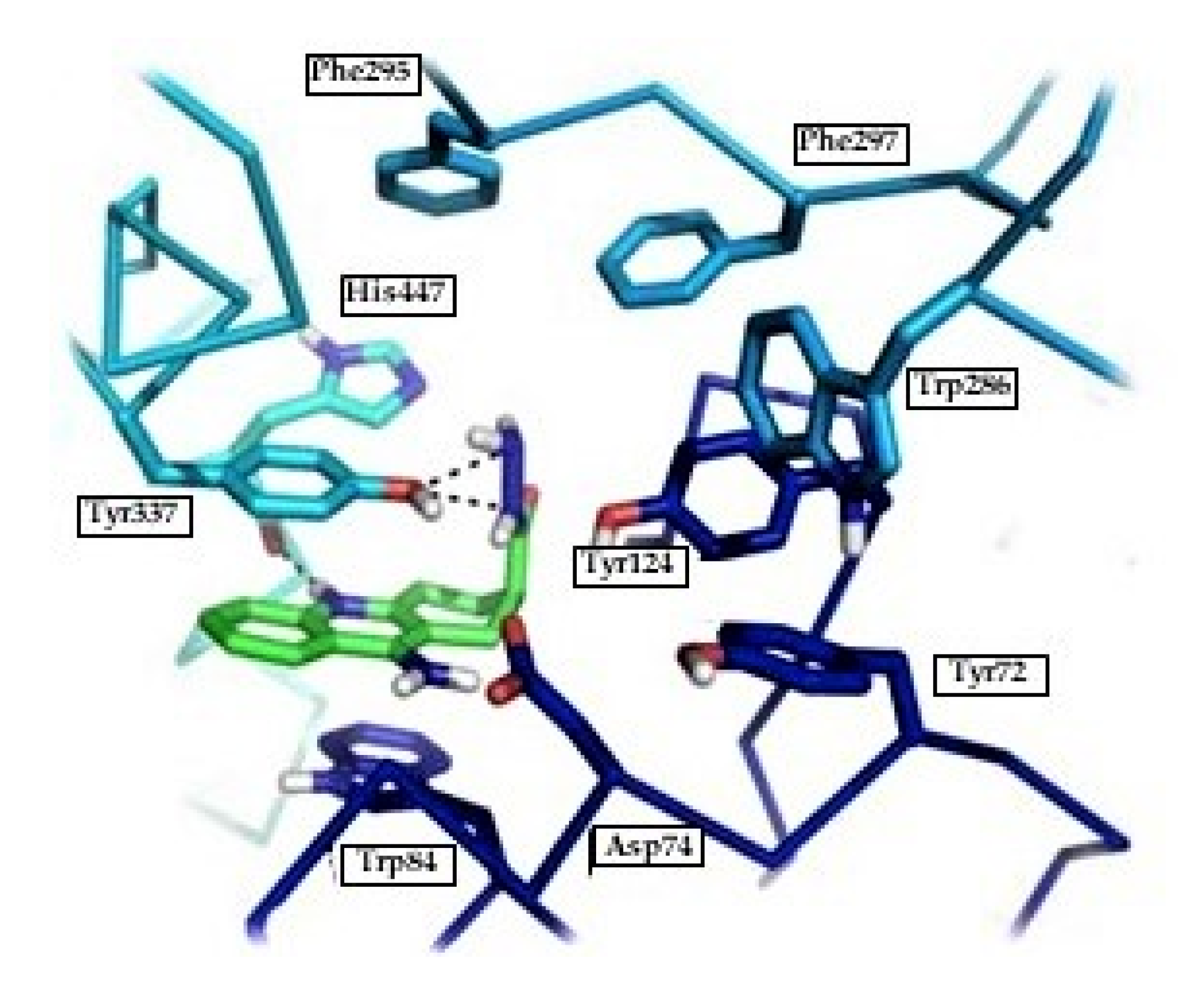 Ijms 21 05965 g007 Ijms 21 05965 g007