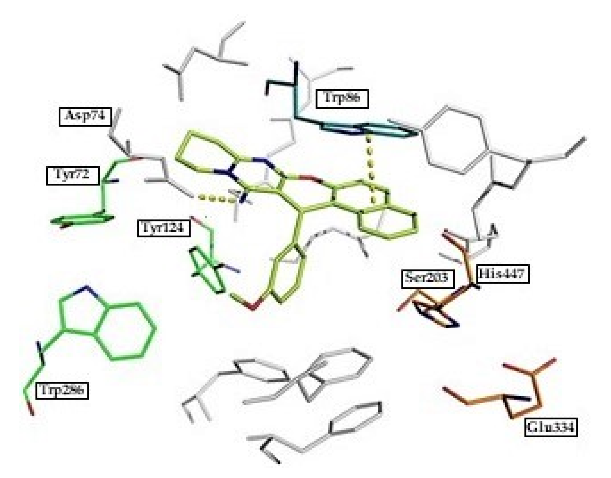 Ijms 21 05965 g008 Ijms 21 05965 g008