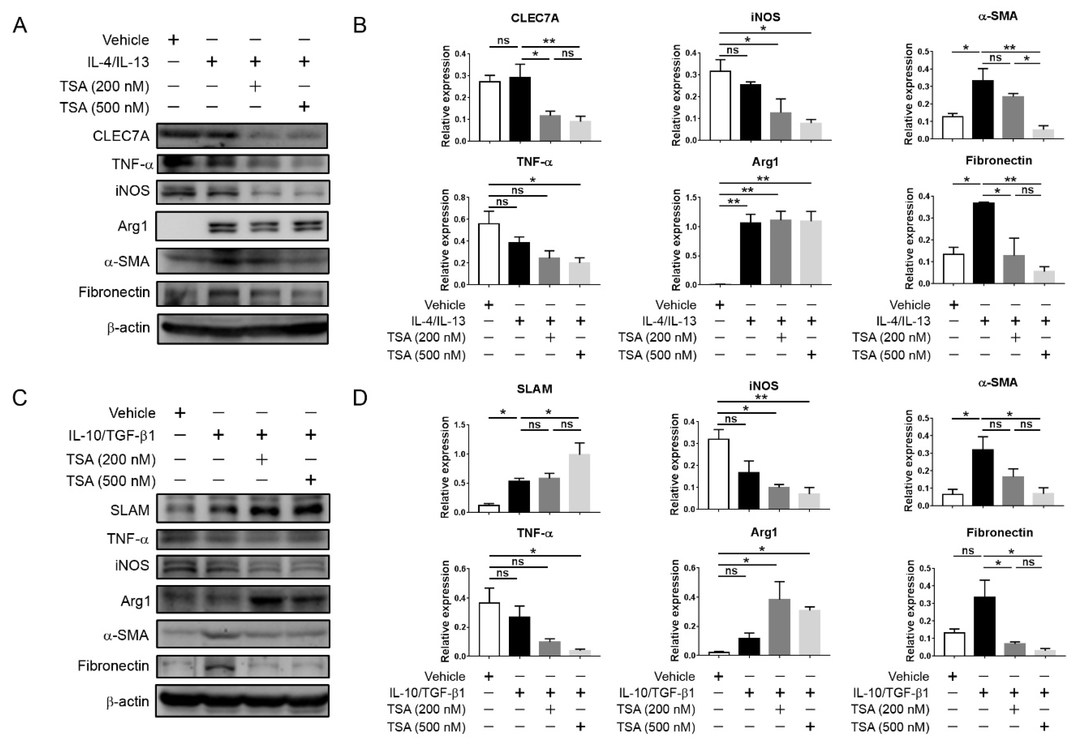 Ijms 21 05966 g005 Ijms 21 05966 g005