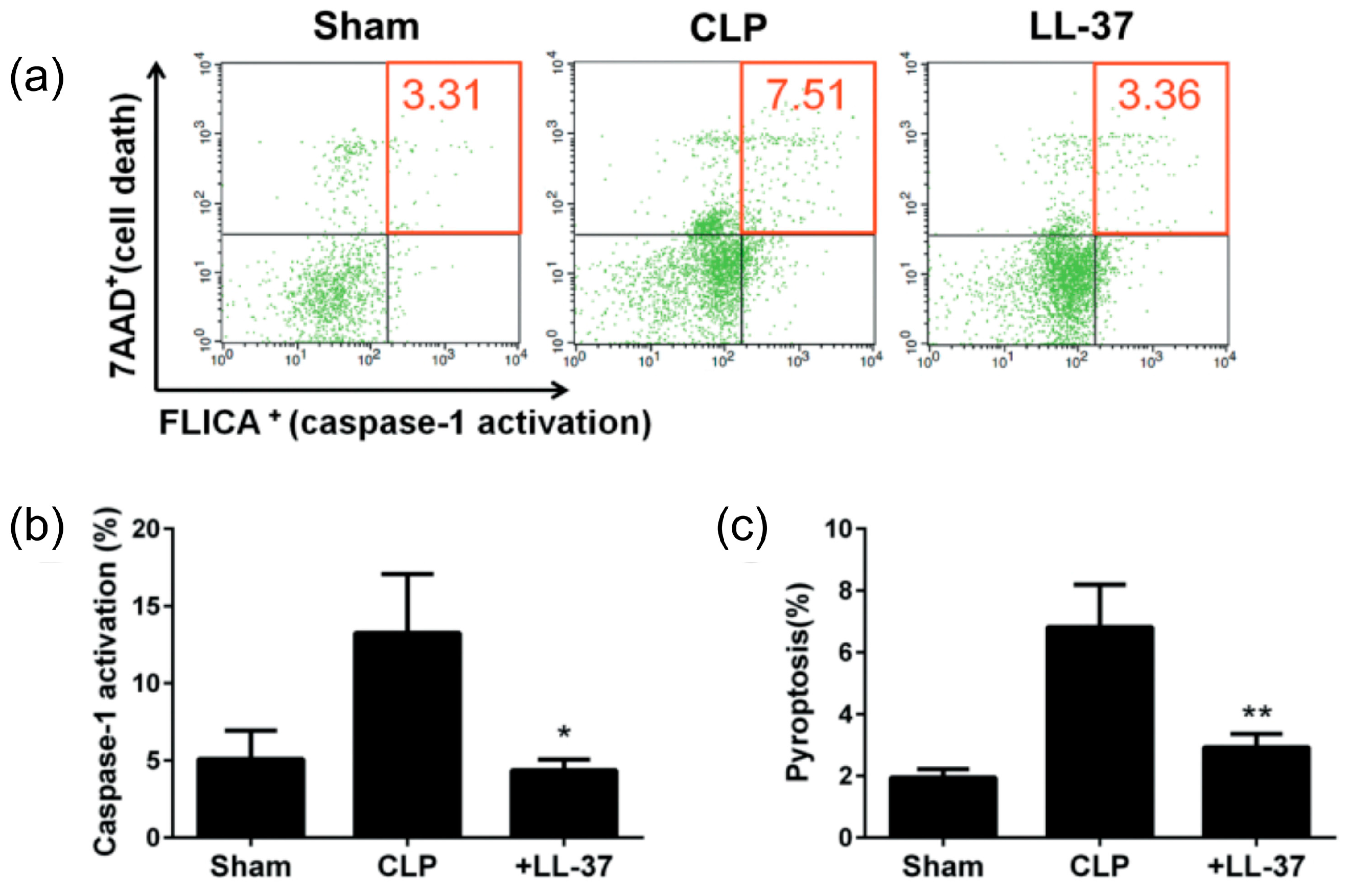 Ijms 21 05973 g005 Ijms 21 05973 g005