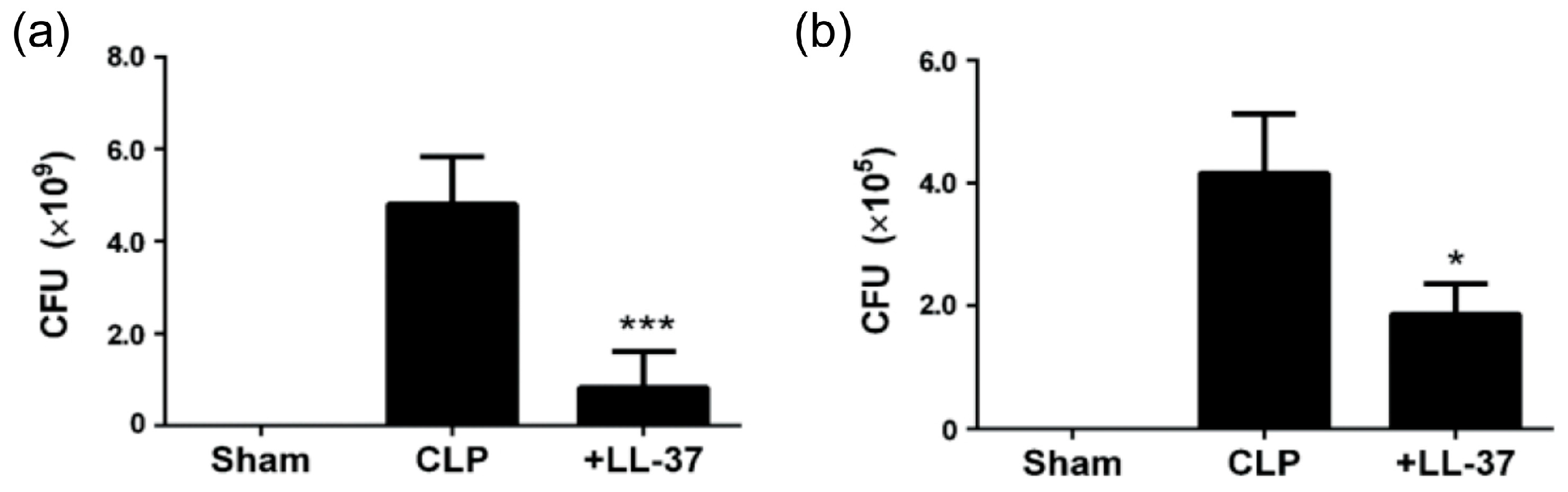 Ijms 21 05973 g006 Ijms 21 05973 g006