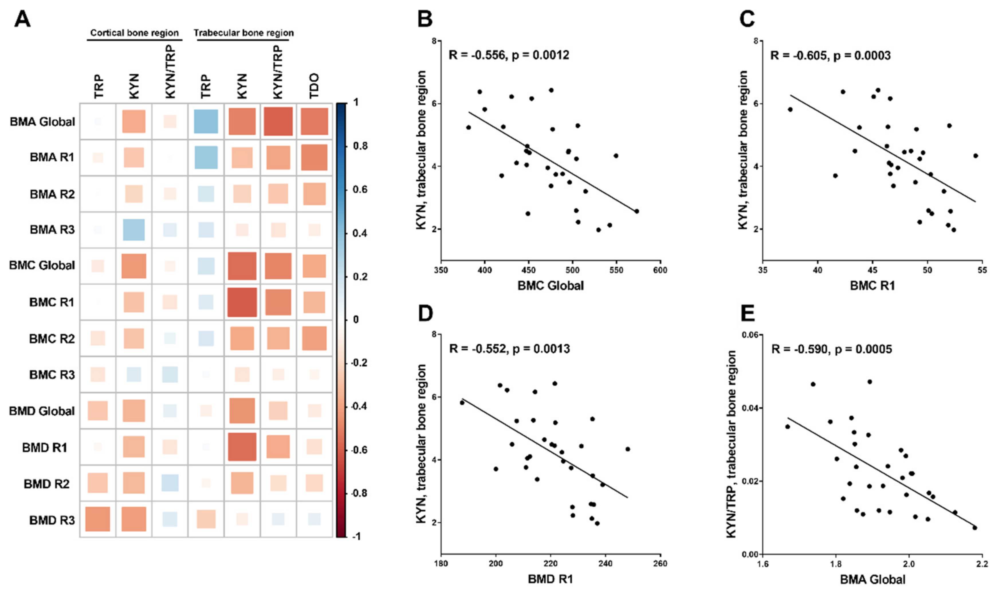 Ijms 21 05979 g004 Ijms 21 05979 g004