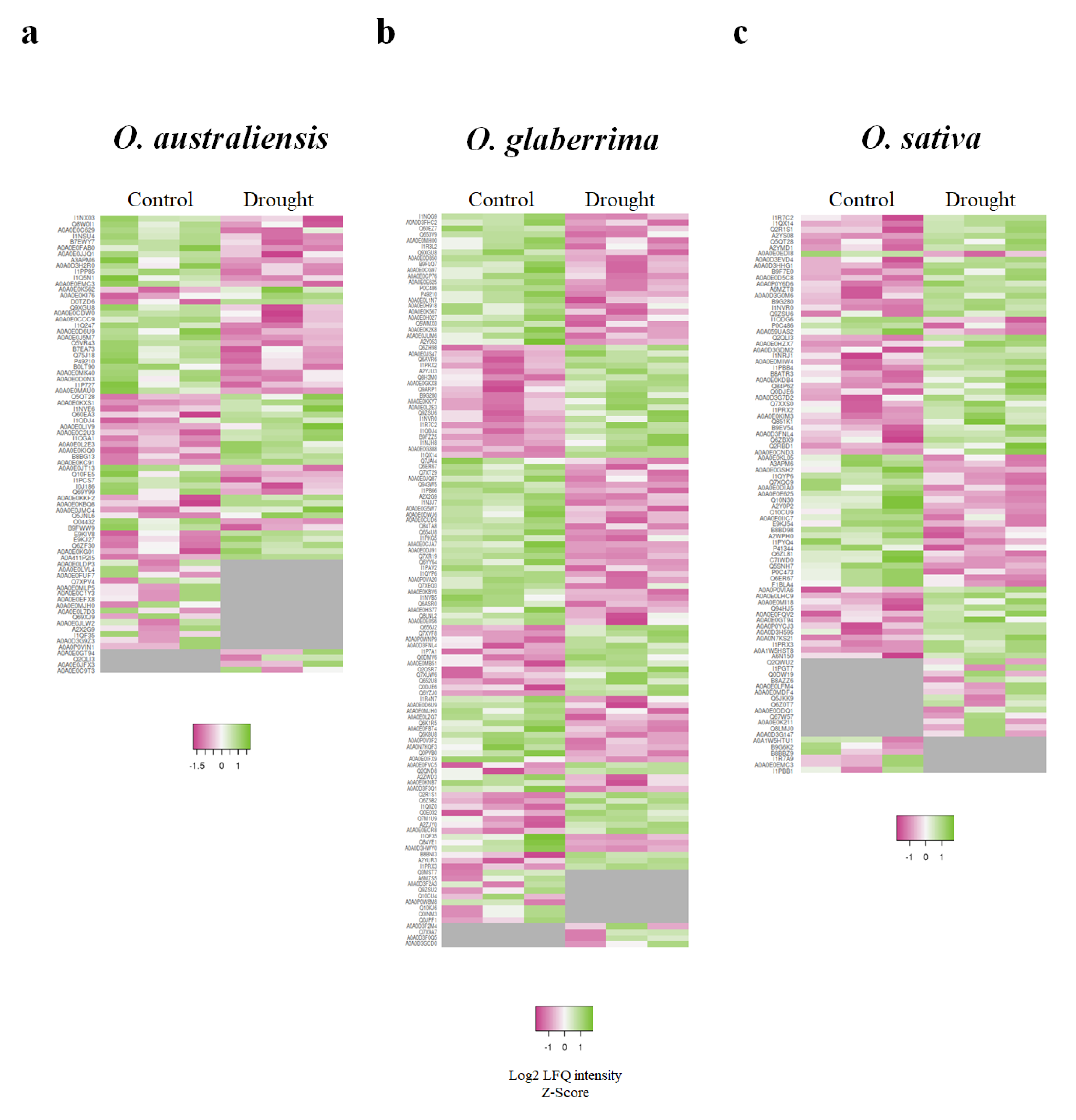 Ijms 21 05980 g003 Ijms 21 05980 g003