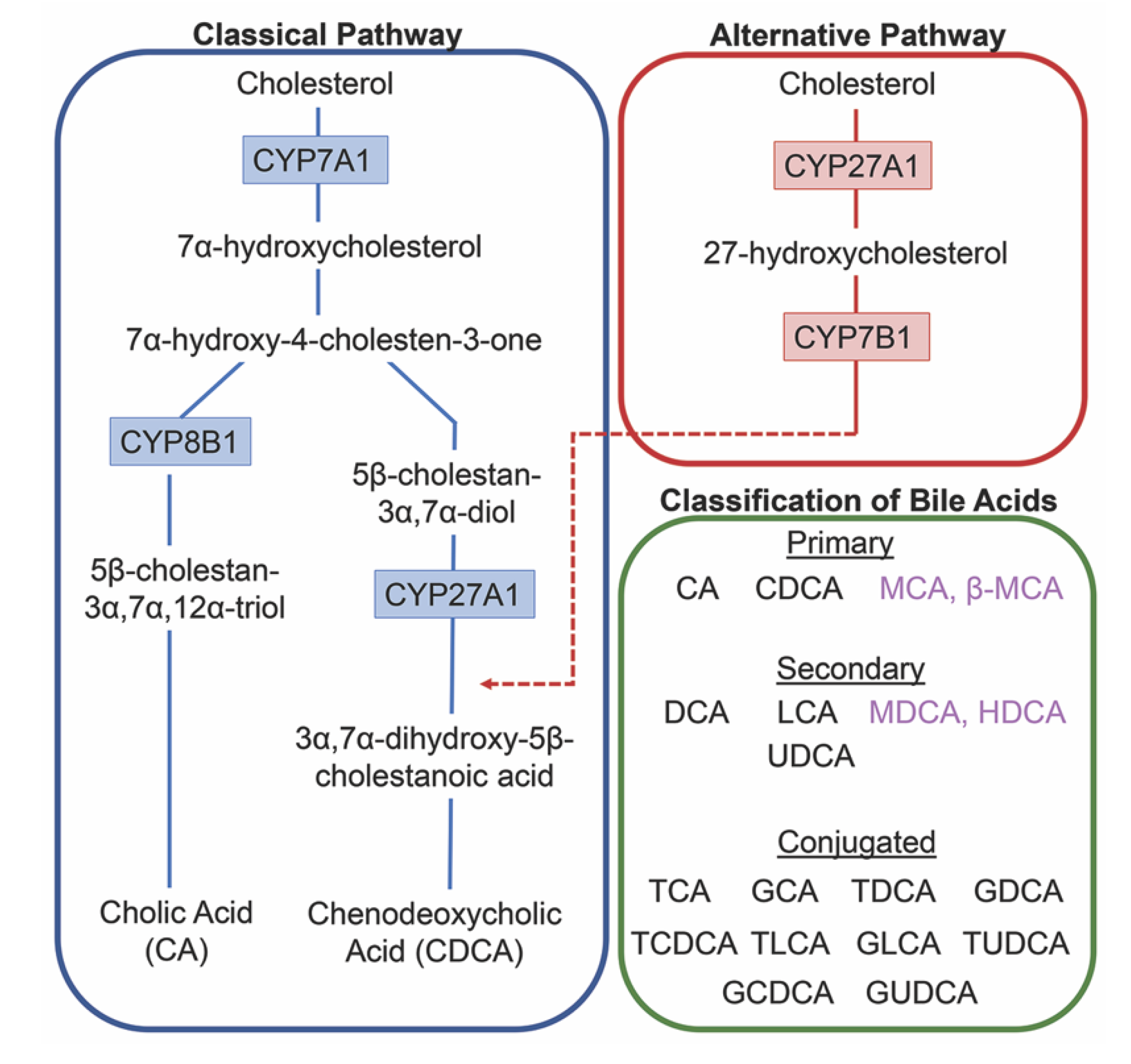 Ijms 21 05982 g001 Ijms 21 05982 g001