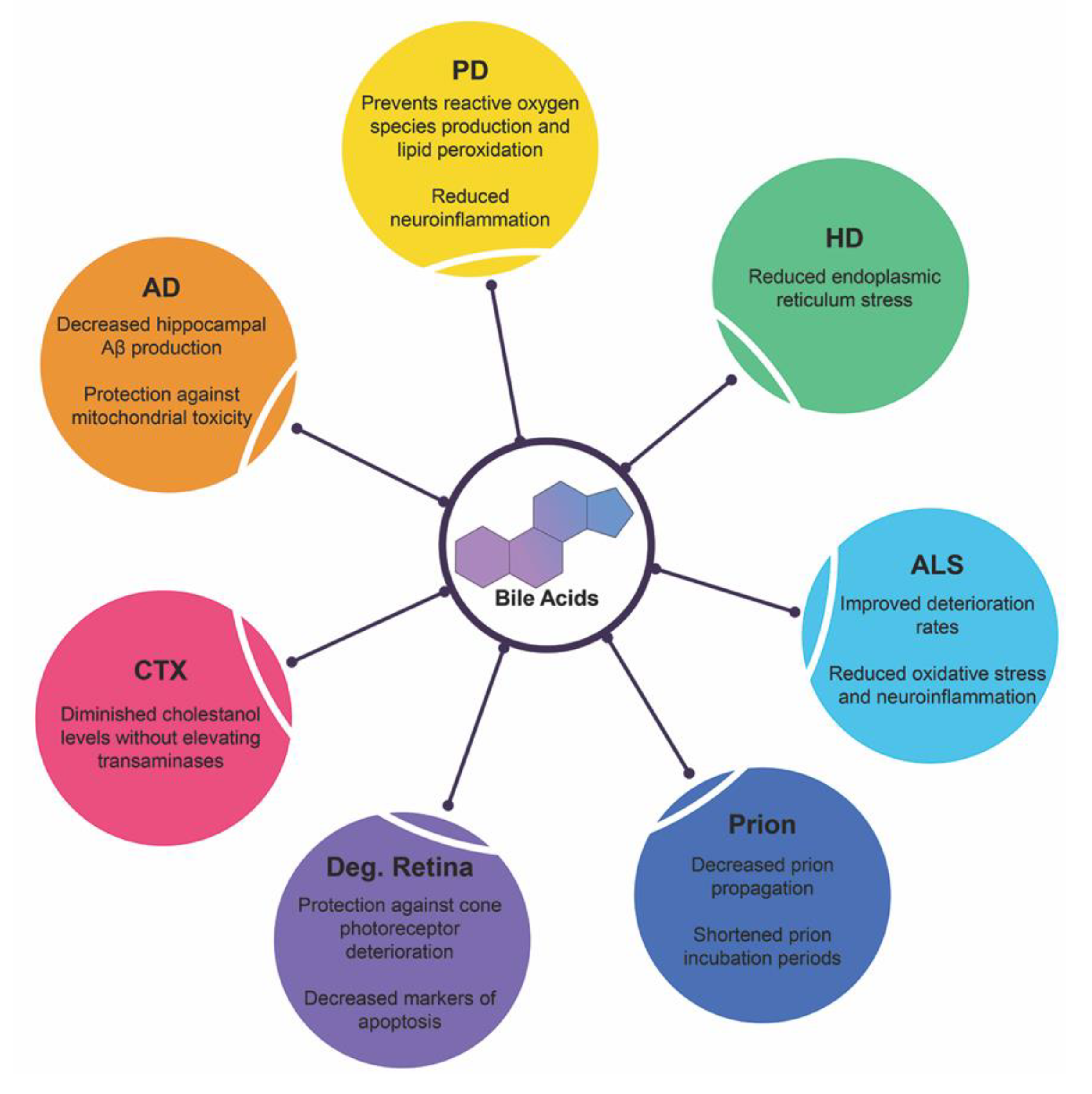 Ijms 21 05982 g004 Ijms 21 05982 g004