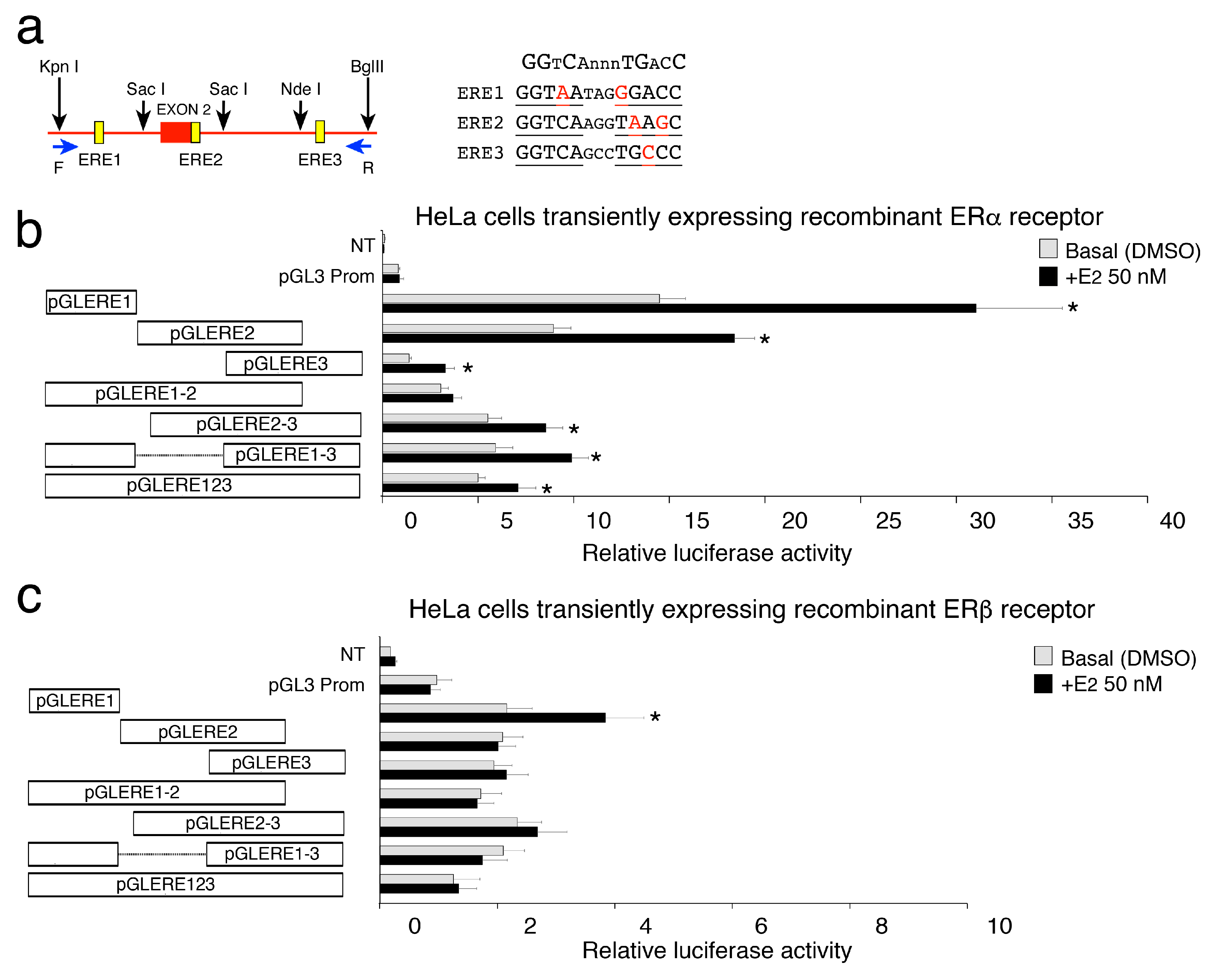 Ijms 21 05989 g002 Ijms 21 05989 g002