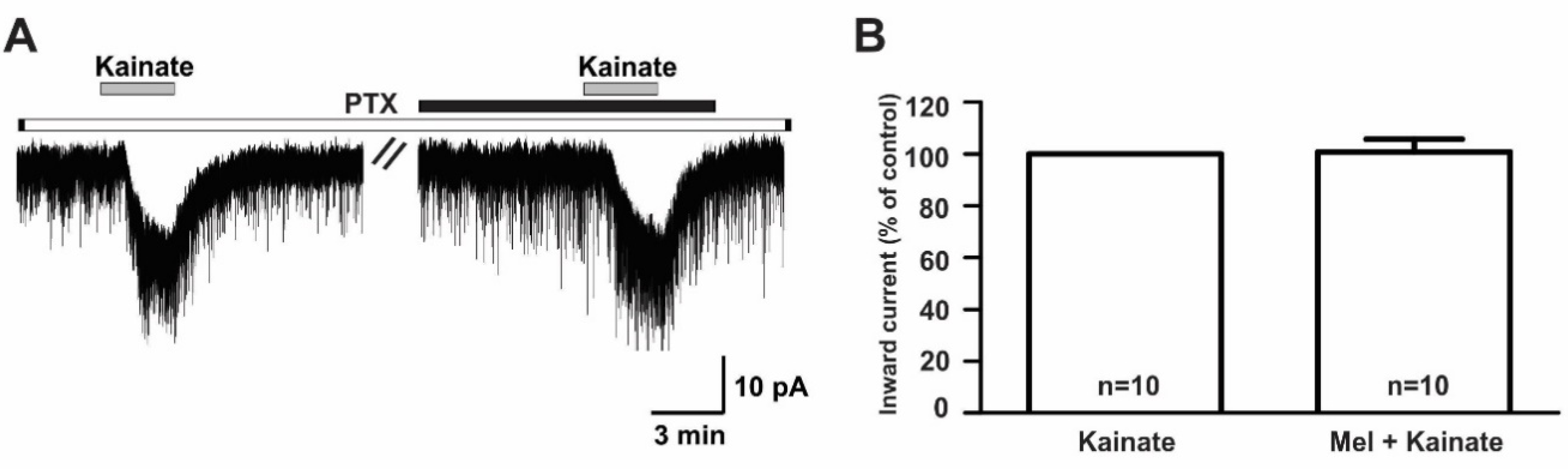 Ijms 21 05991 g008 Ijms 21 05991 g008