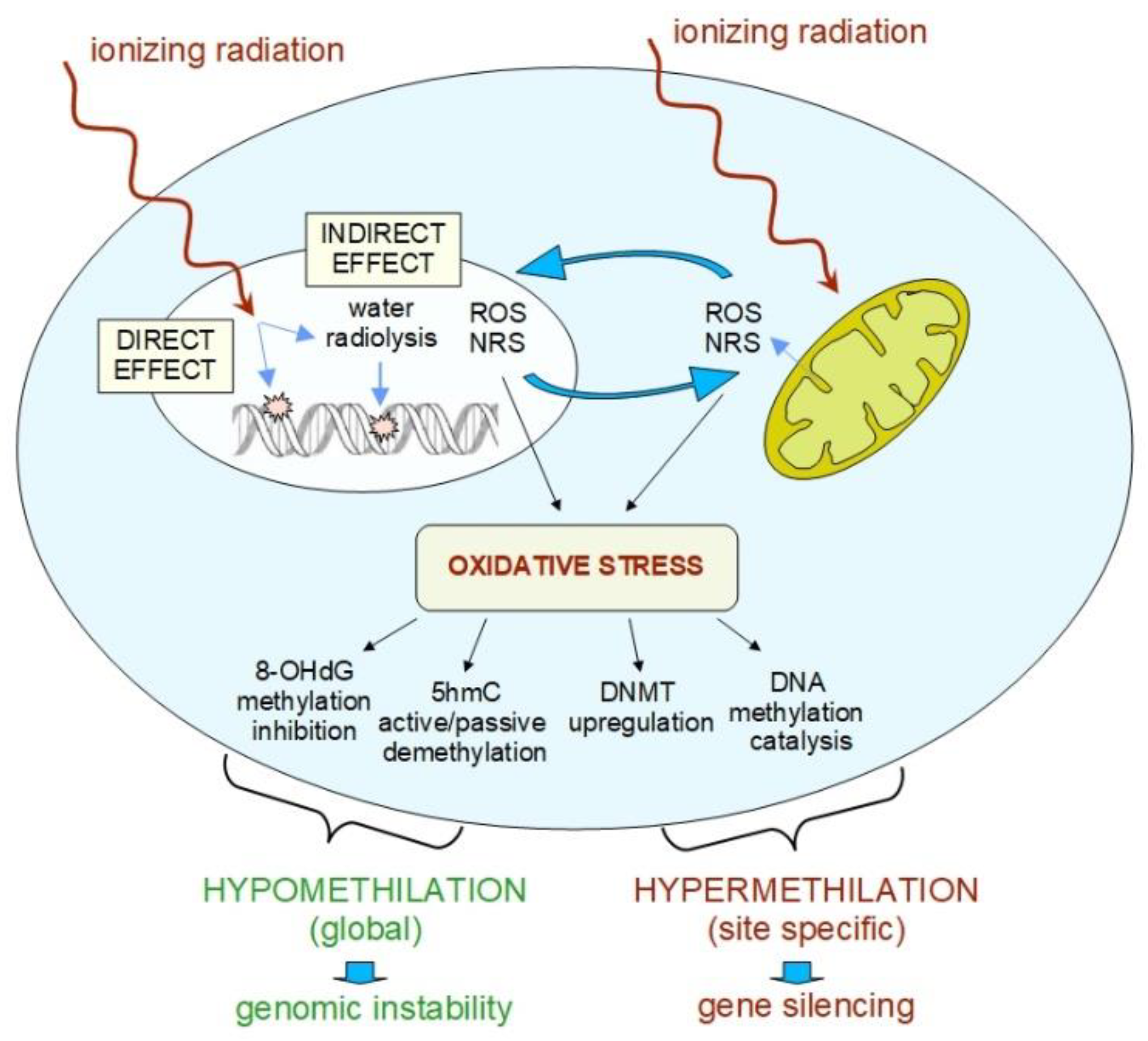 Ijms 21 05993 g002 Ijms 21 05993 g002