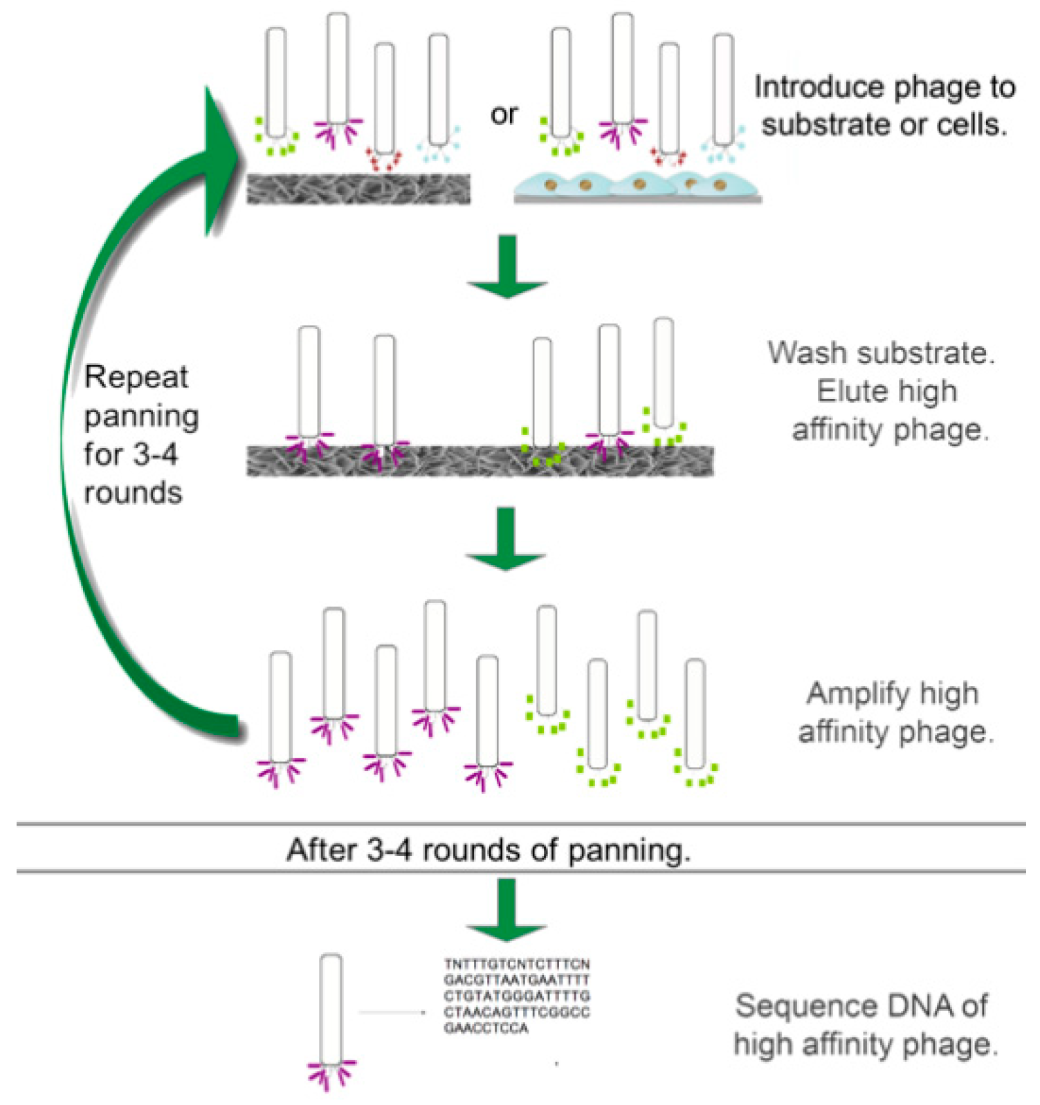 Ijms 21 05994 g001 Ijms 21 05994 g001
