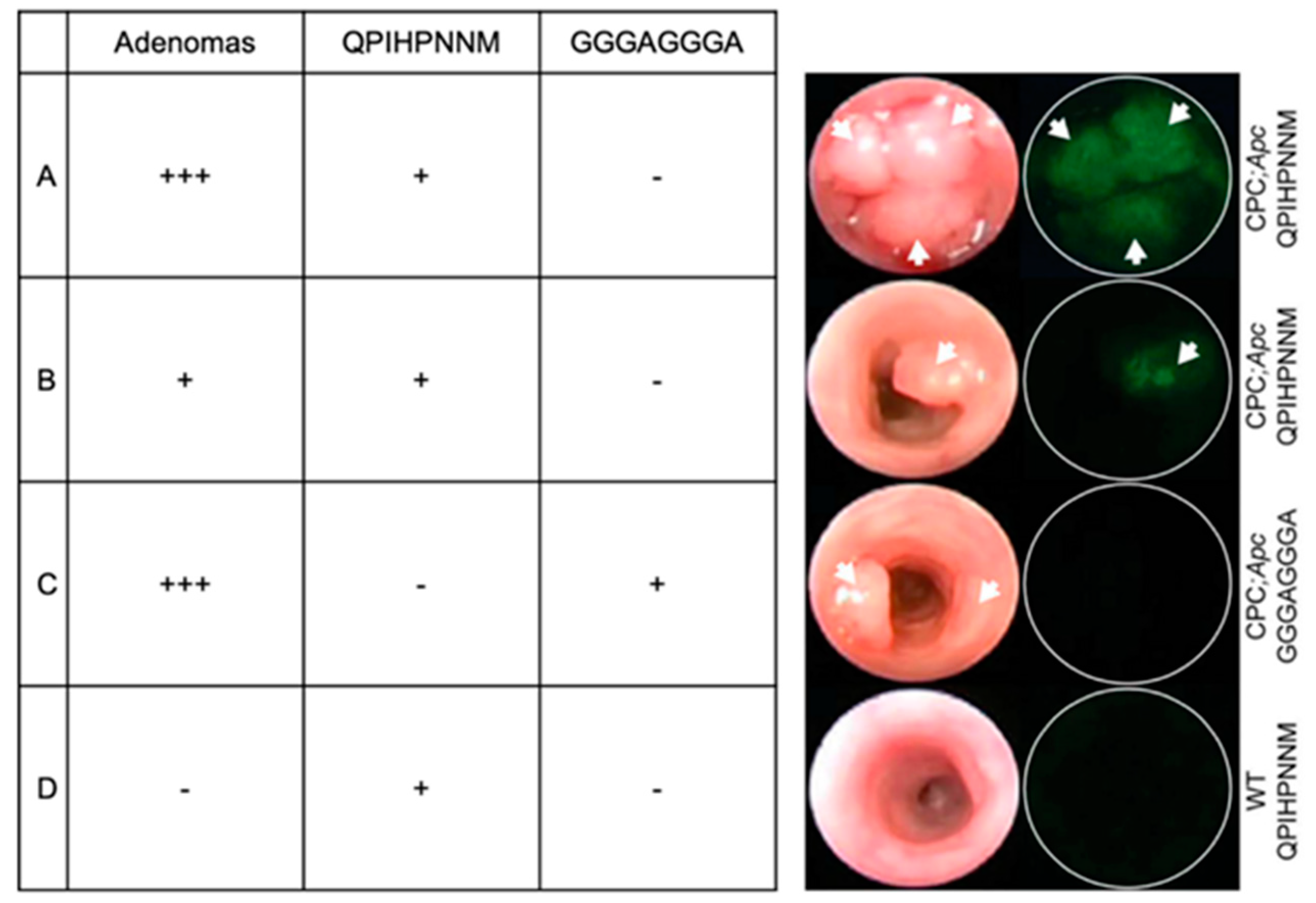 Ijms 21 05994 g002 Ijms 21 05994 g002