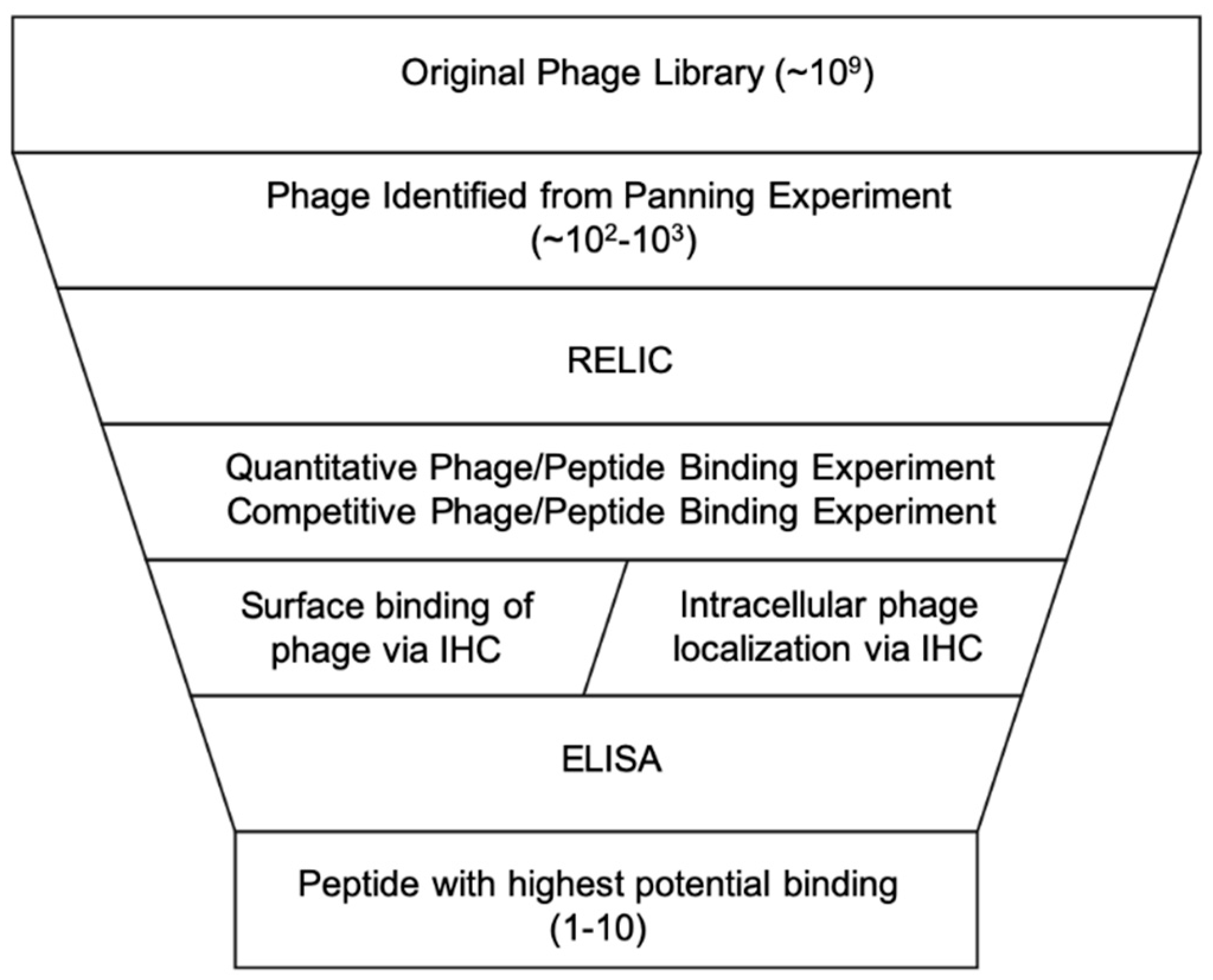 Ijms 21 05994 g003 Ijms 21 05994 g003