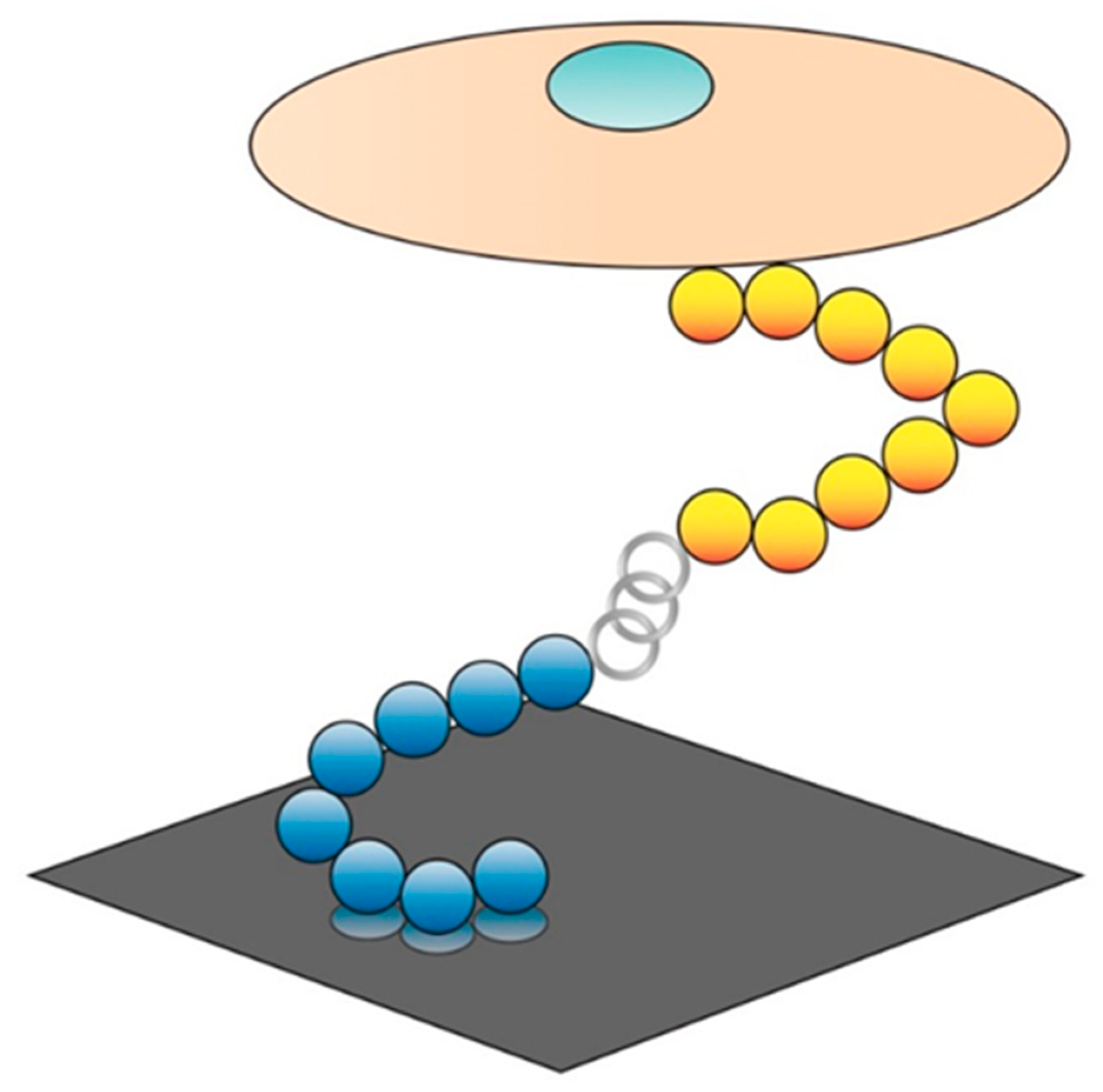 Ijms 21 05994 g006 Ijms 21 05994 g006