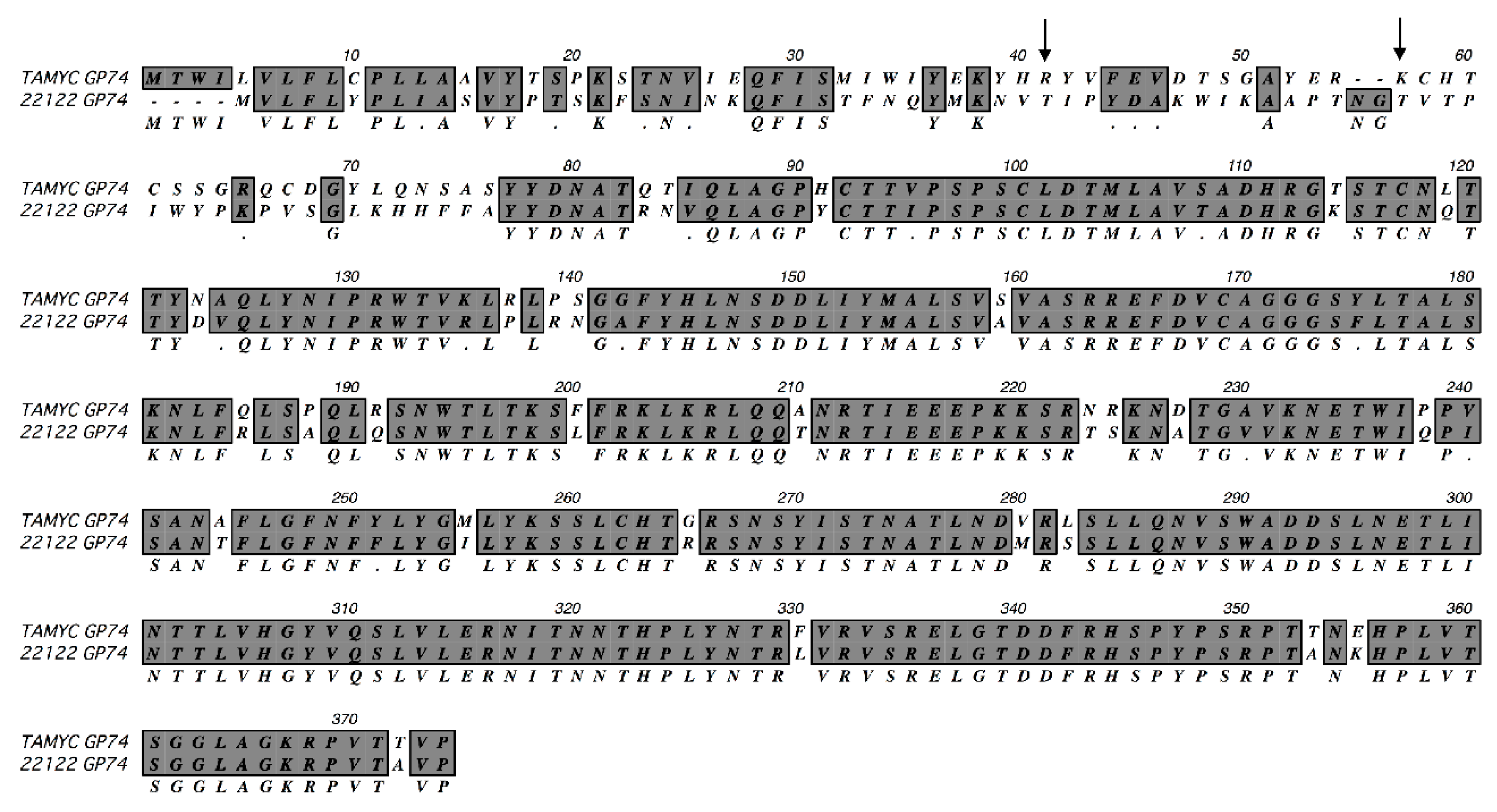 Ijms 21 05997 g001 Ijms 21 05997 g001