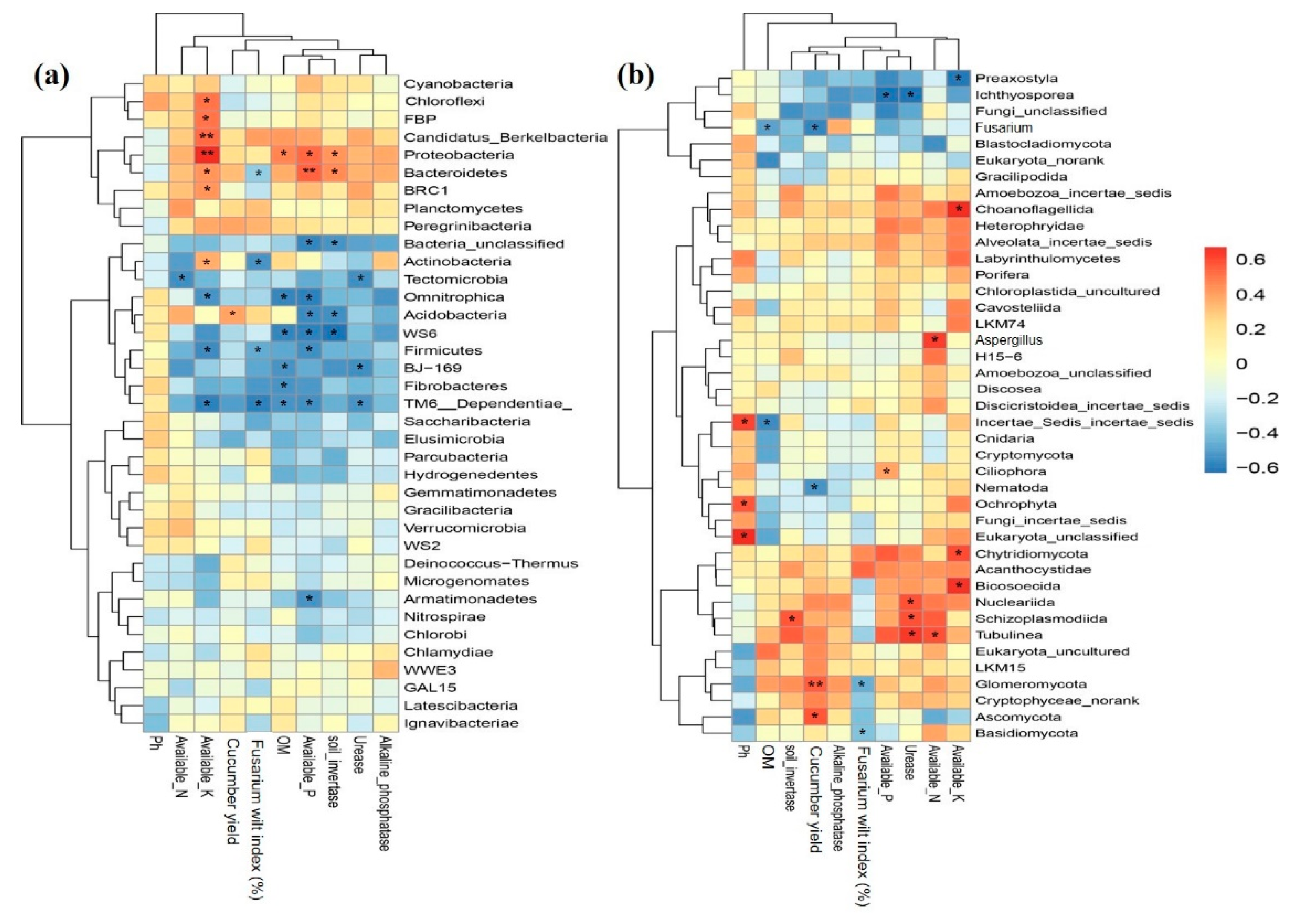 Ijms 21 06008 g006 Ijms 21 06008 g006