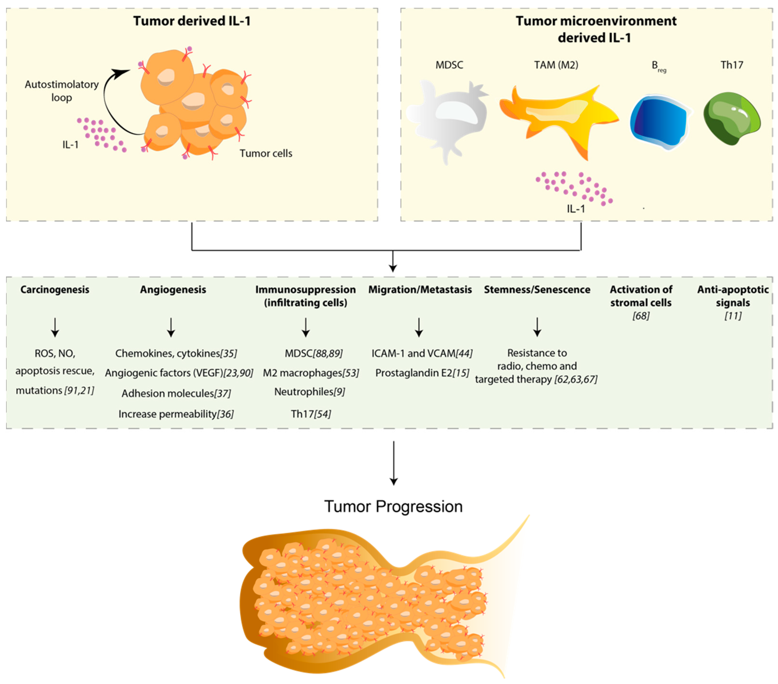 Ijms 21 06009 g001 Ijms 21 06009 g001