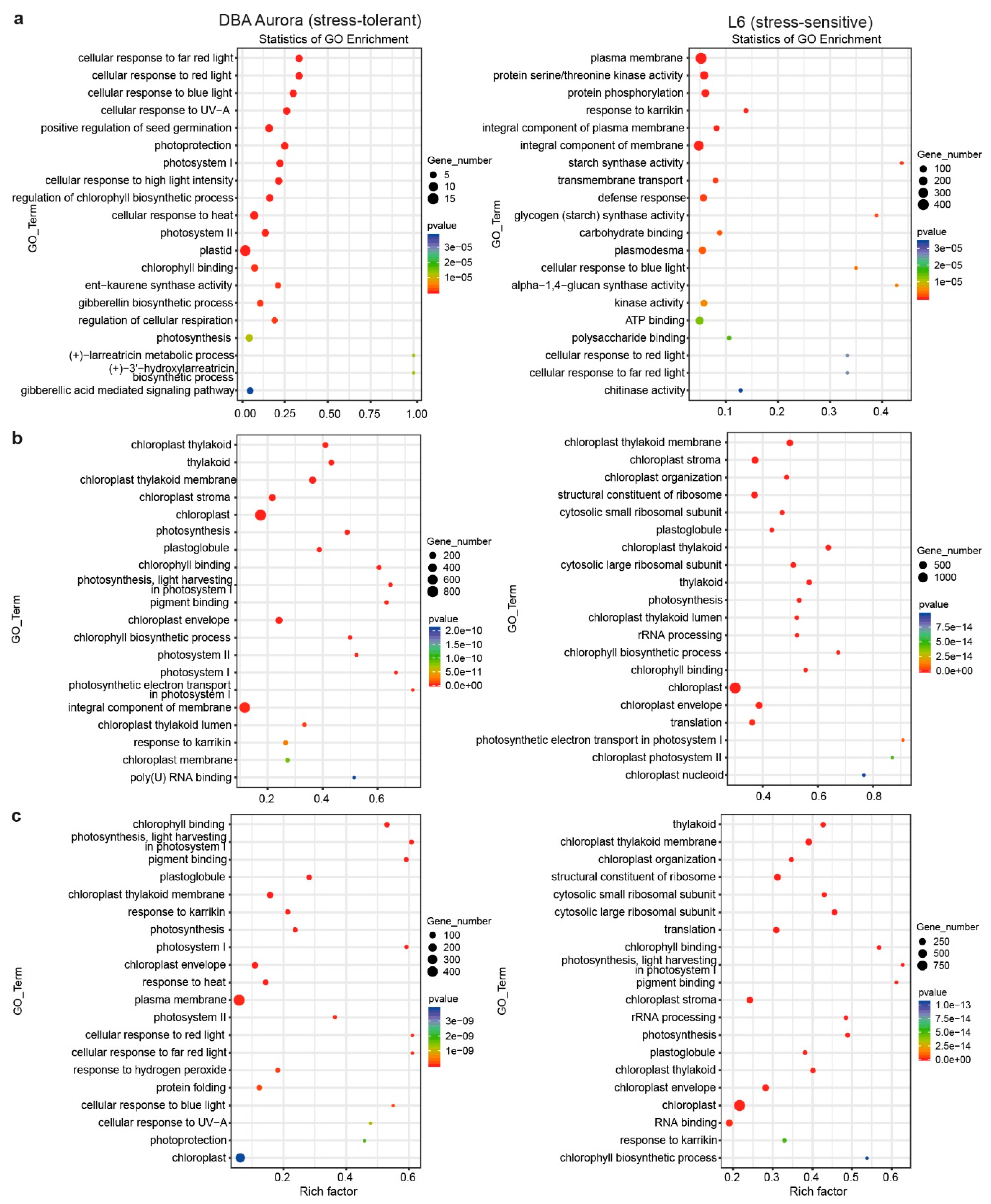 Ijms 21 06017 g002 Ijms 21 06017 g002