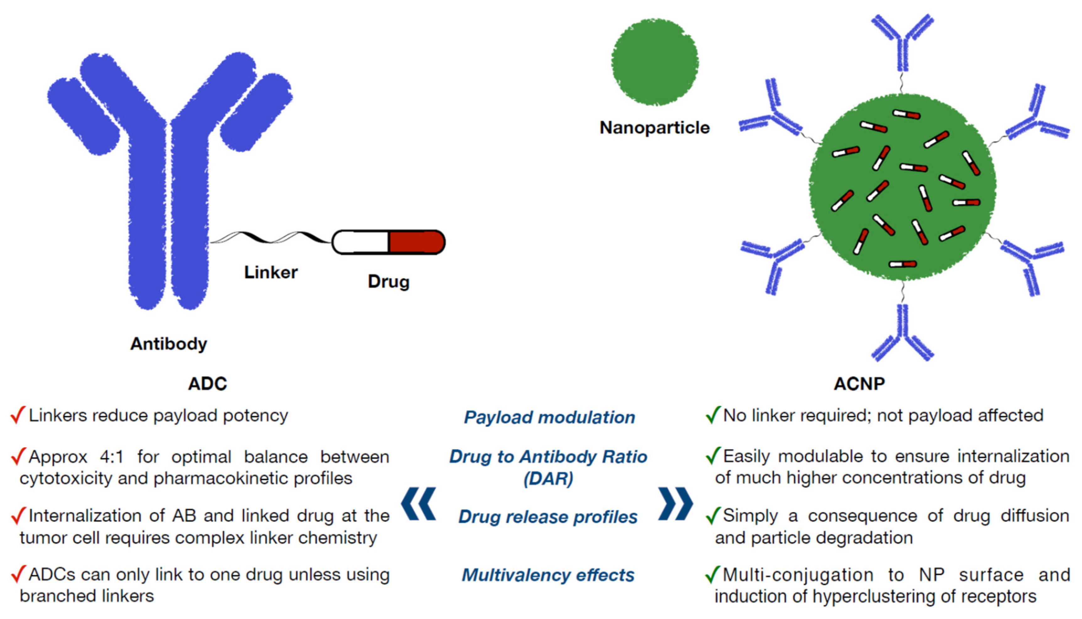 Ijms 21 06018 g002 Ijms 21 06018 g002