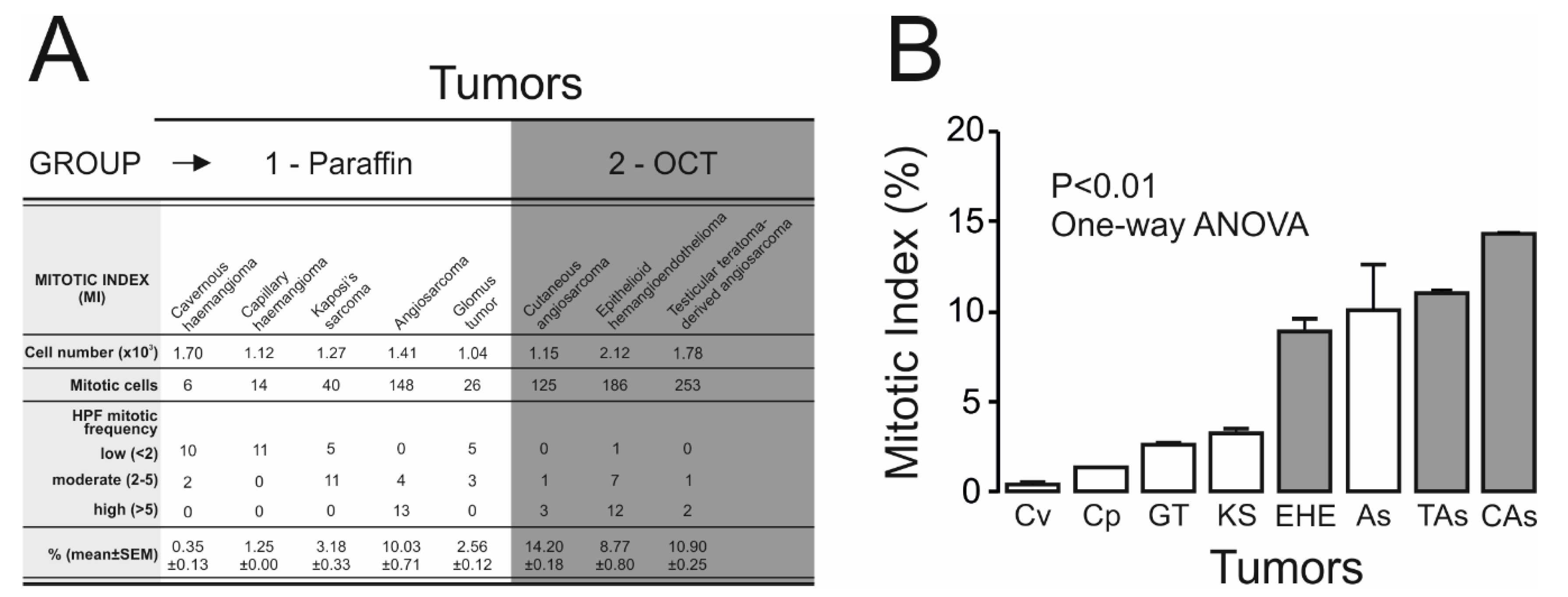 Ijms 21 06019 g005 Ijms 21 06019 g005