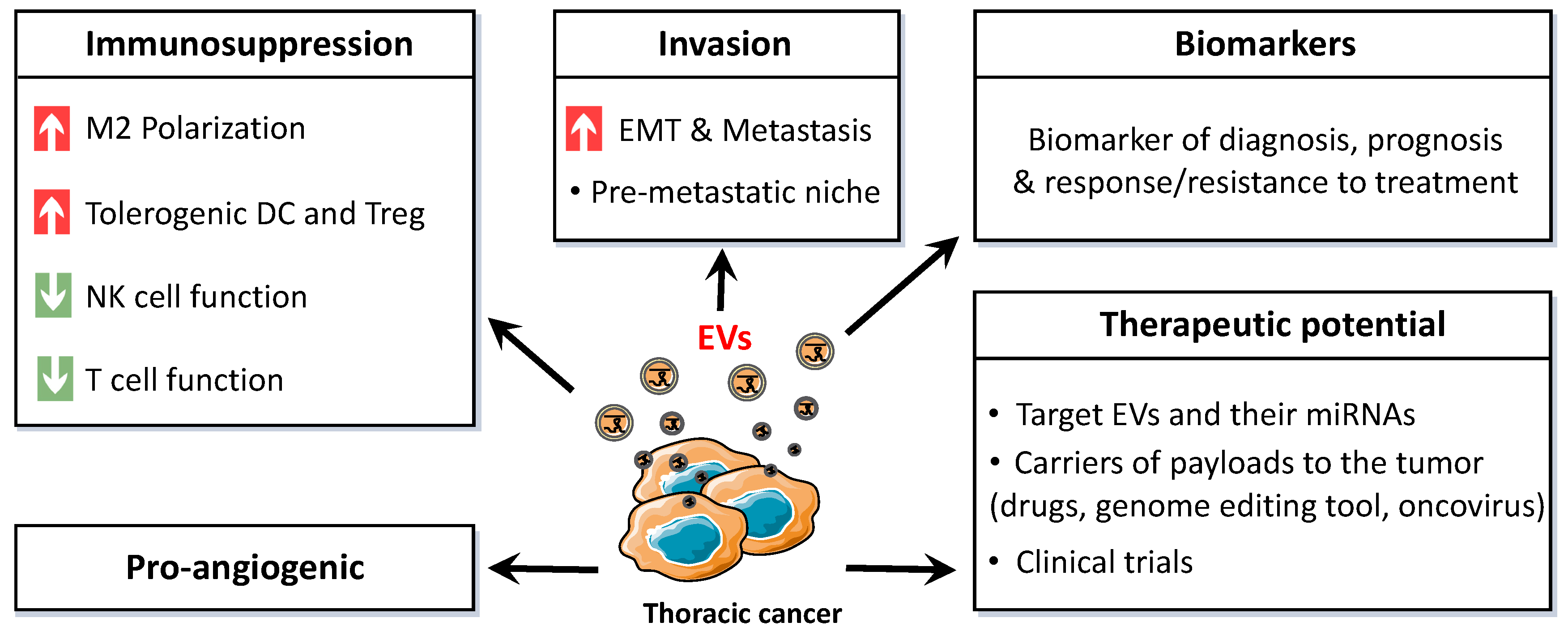 Ijms 21 06024 g003 Ijms 21 06024 g003