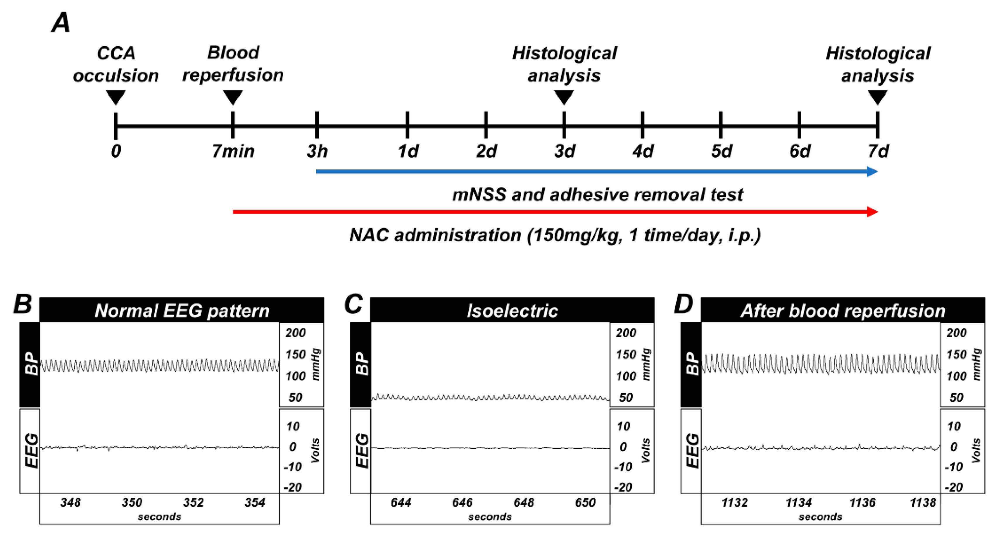 Ijms 21 06026 g001 Ijms 21 06026 g001