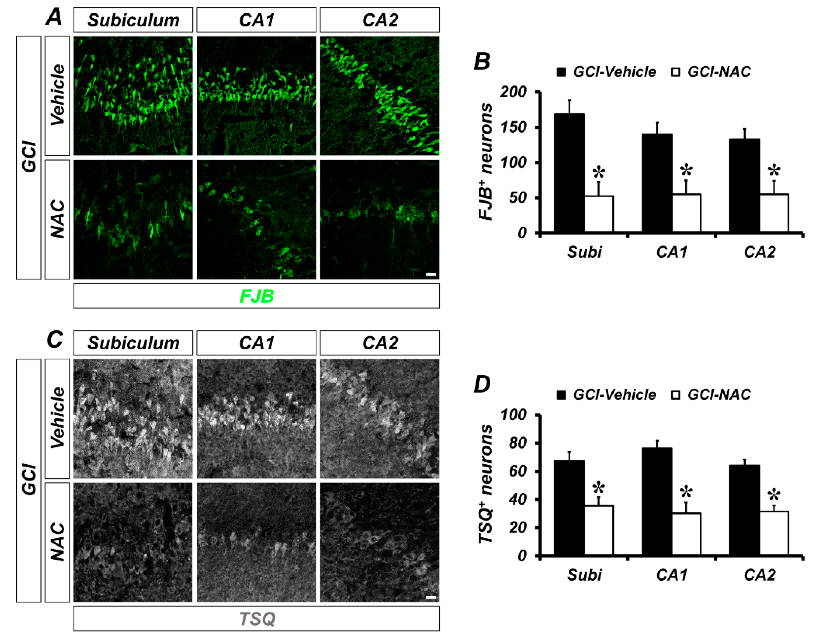 Ijms 21 06026 g002 Ijms 21 06026 g002