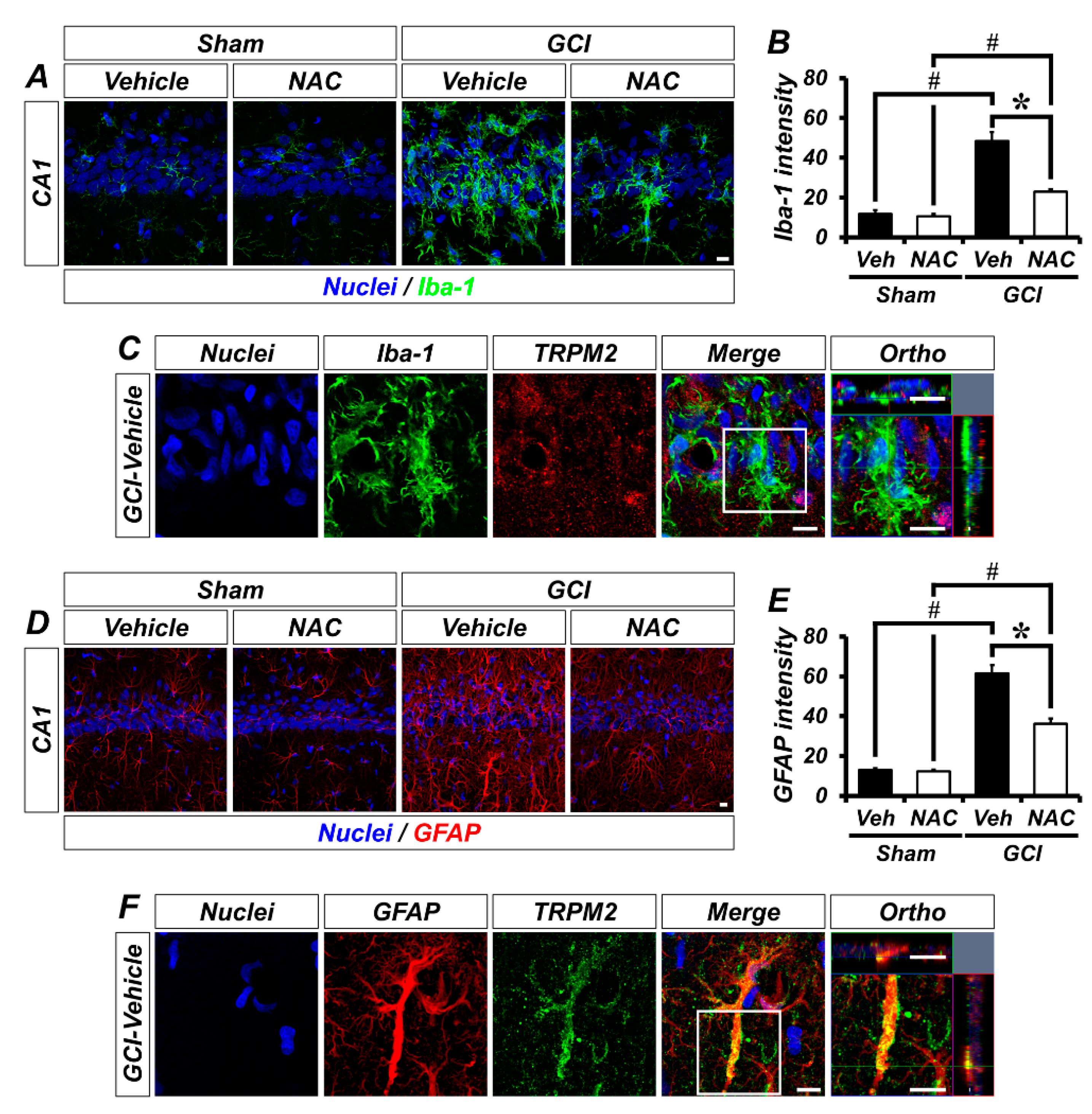 Ijms 21 06026 g005 Ijms 21 06026 g005