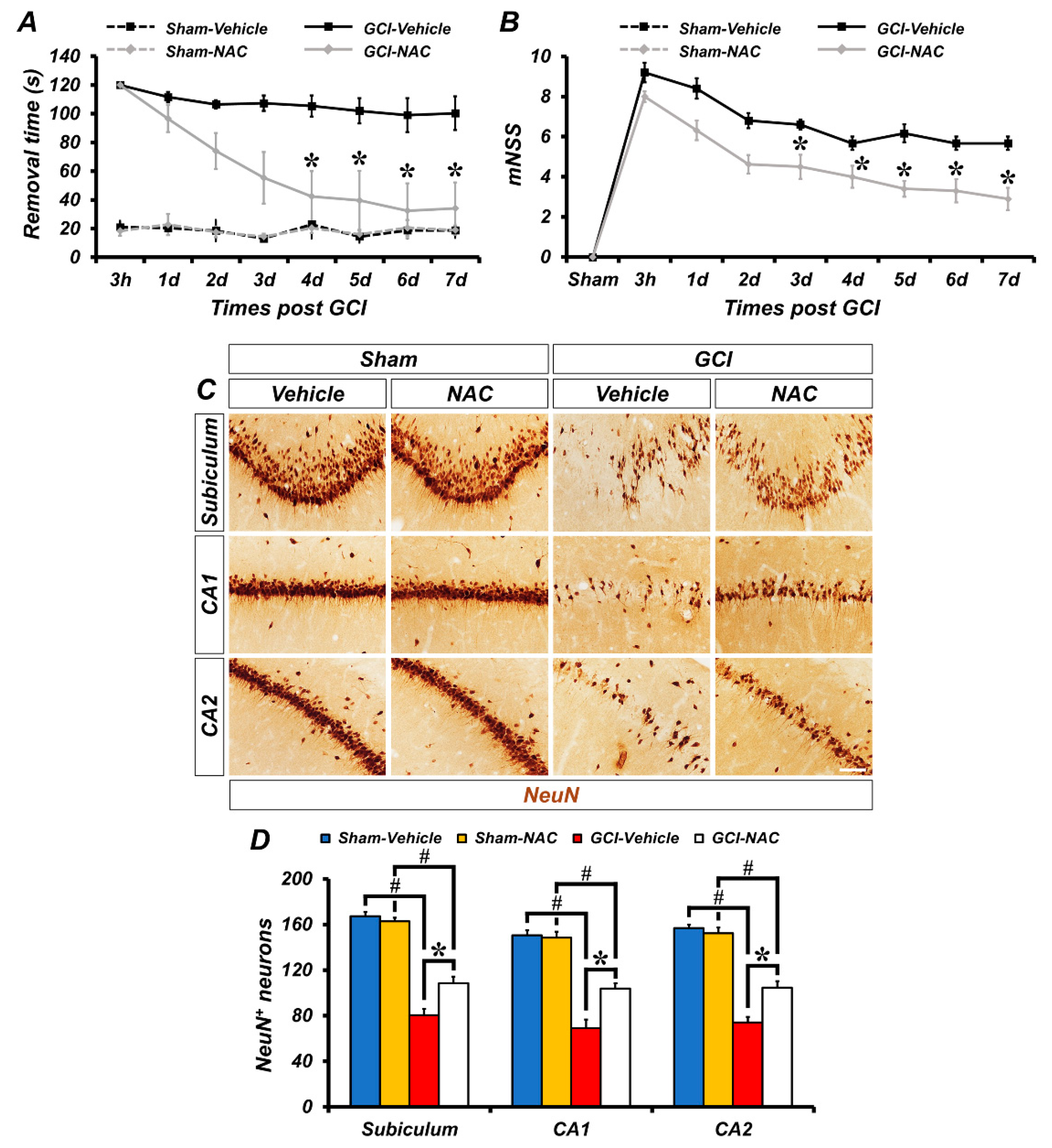 Ijms 21 06026 g006 Ijms 21 06026 g006