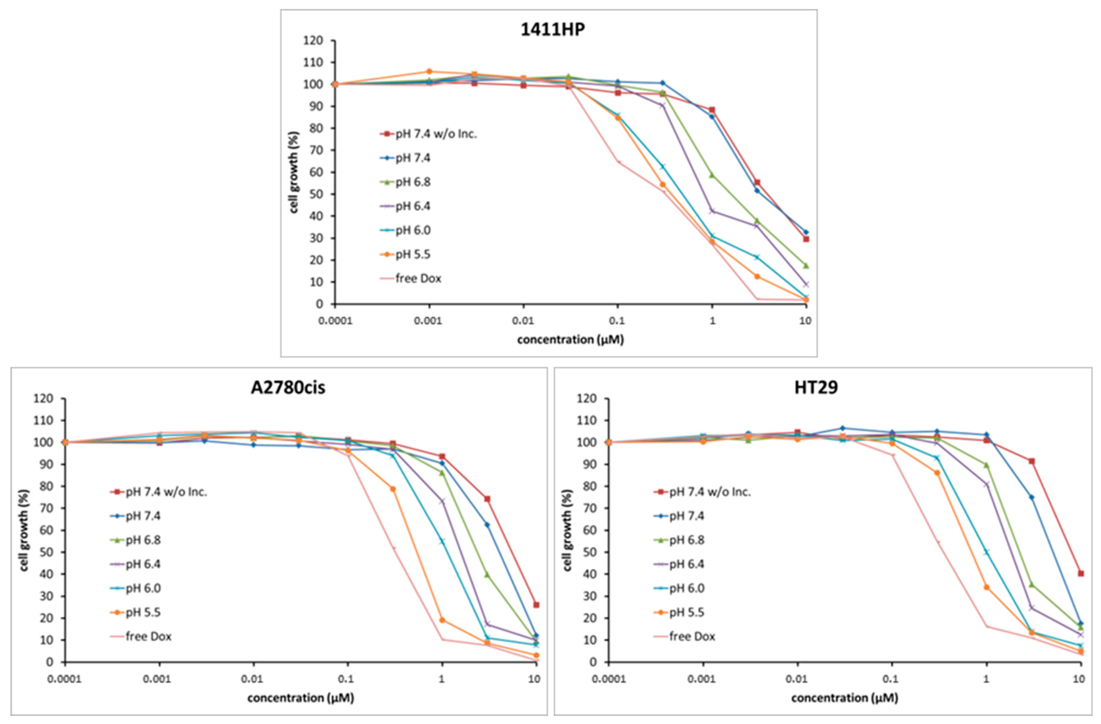 Ijms 21 06029 g003 Ijms 21 06029 g003