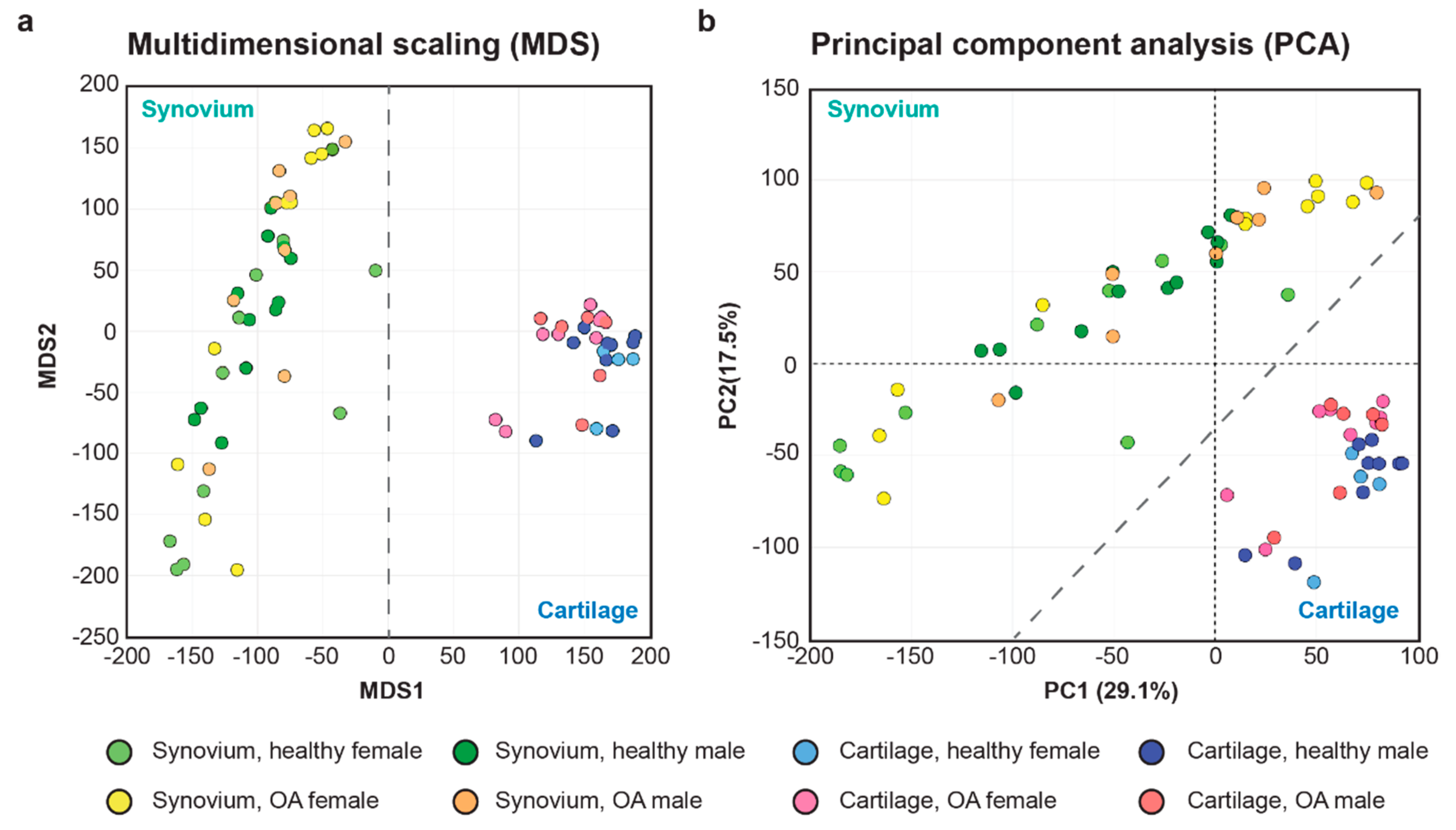 Ijms 21 06033 g001 Ijms 21 06033 g001